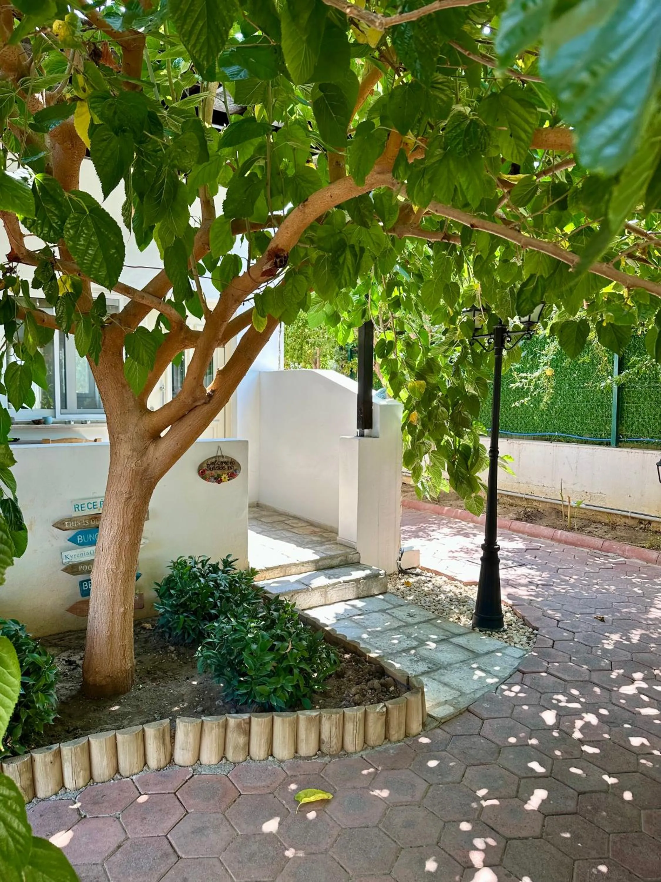 Garden in Sunside Inn Hotel