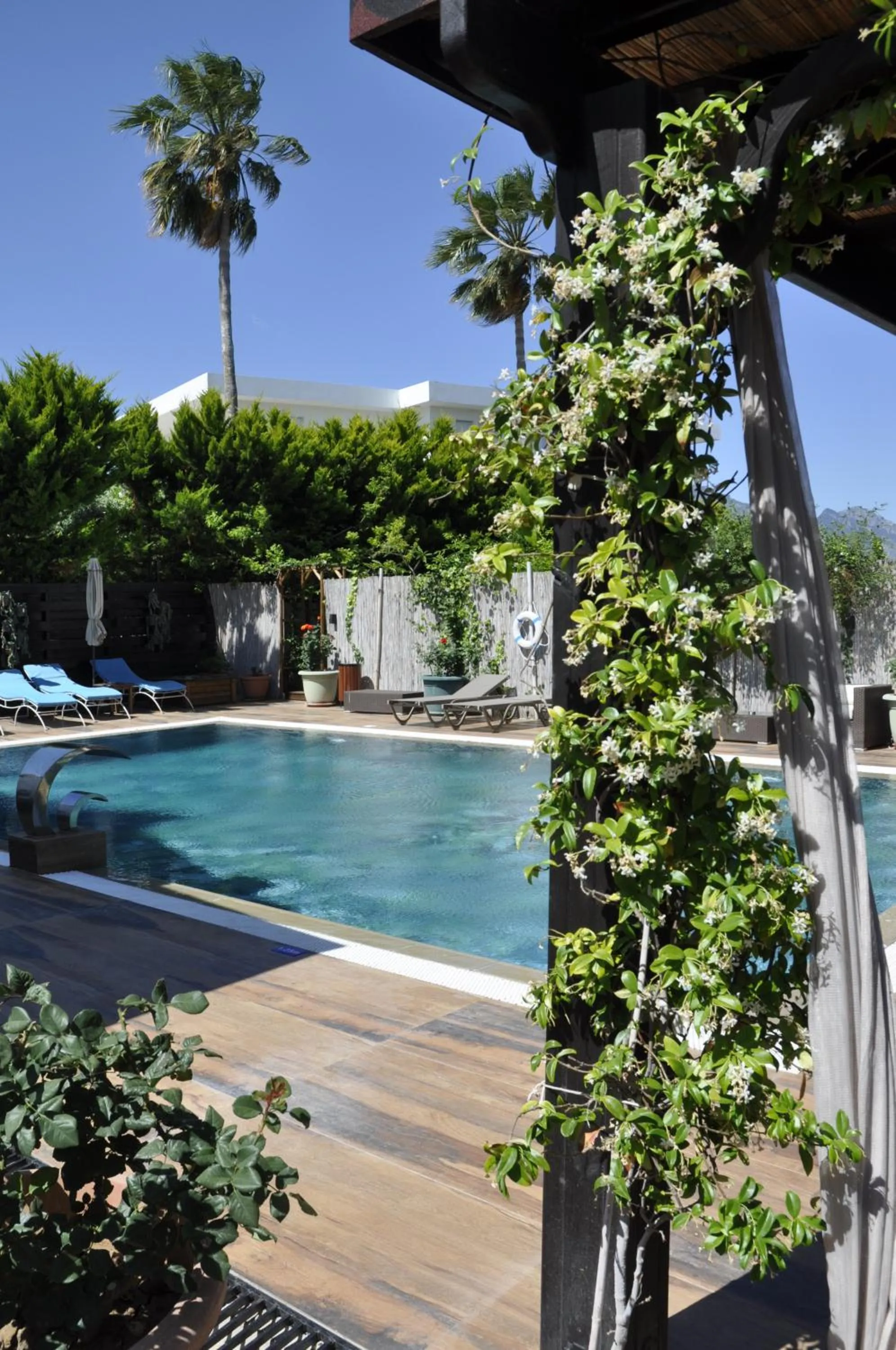 Garden in Sunside Inn Hotel