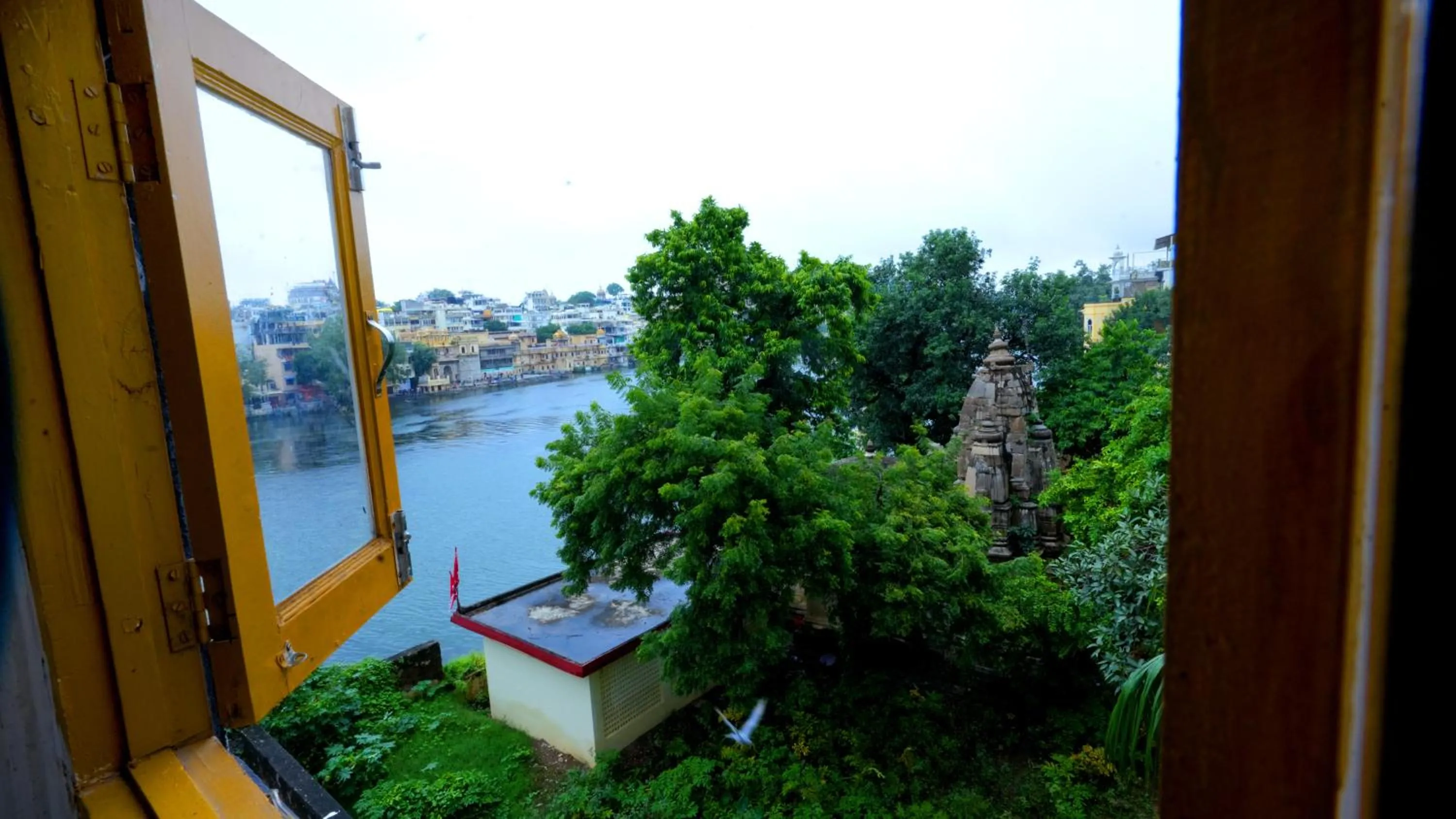 View (from property/room) in Jungle by sturmfrei Udaipur