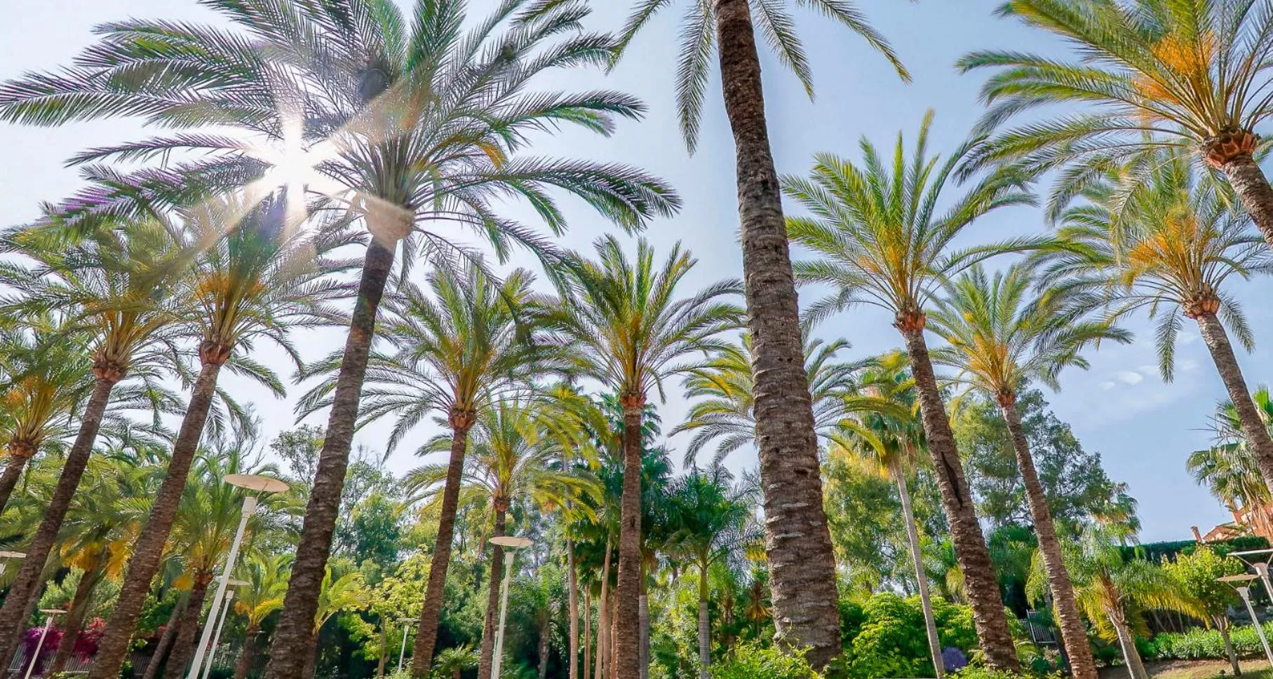 Natural landscape in Alanda Marbella Hotel & Wellness