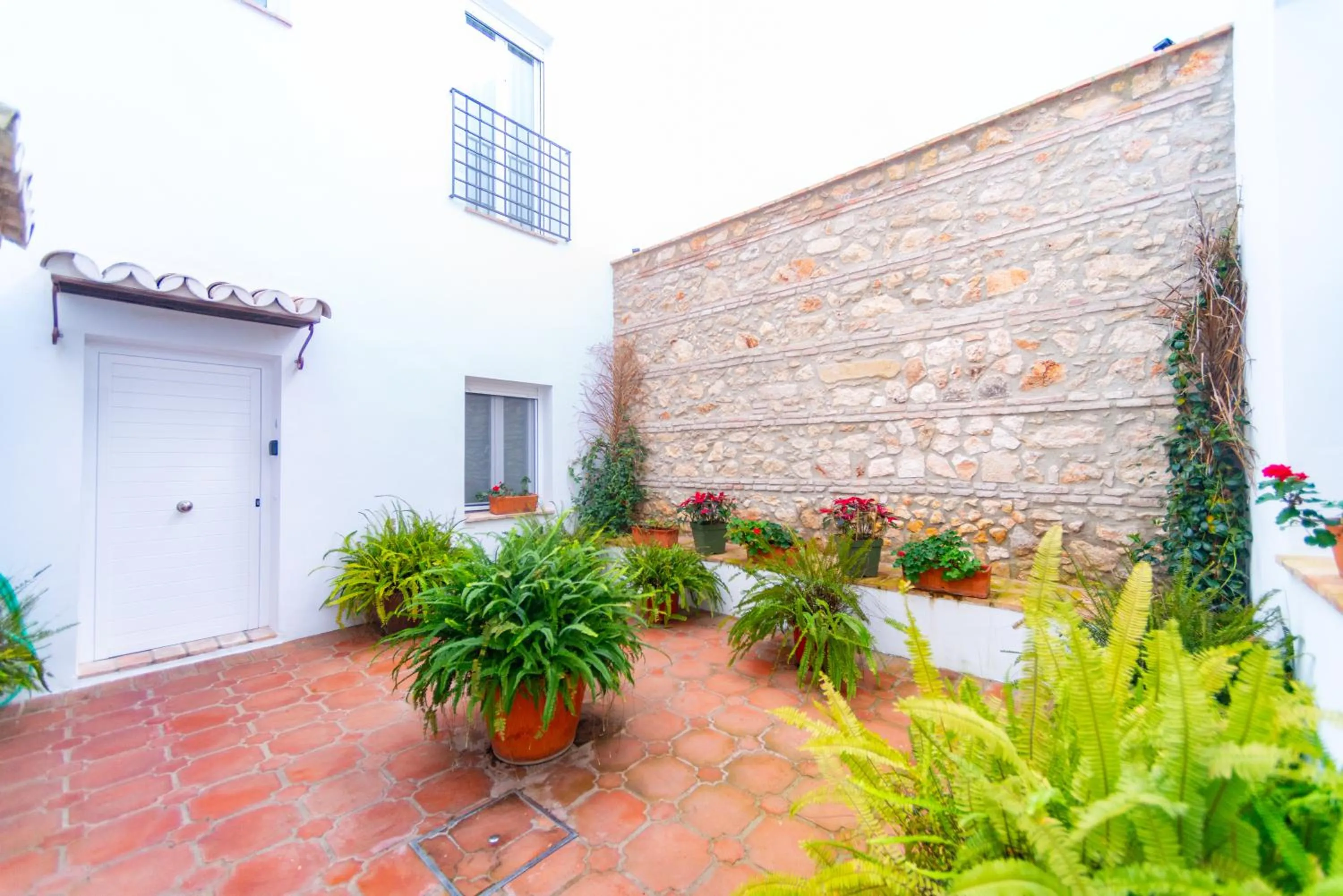 Patio in Suites Casa San Mateo