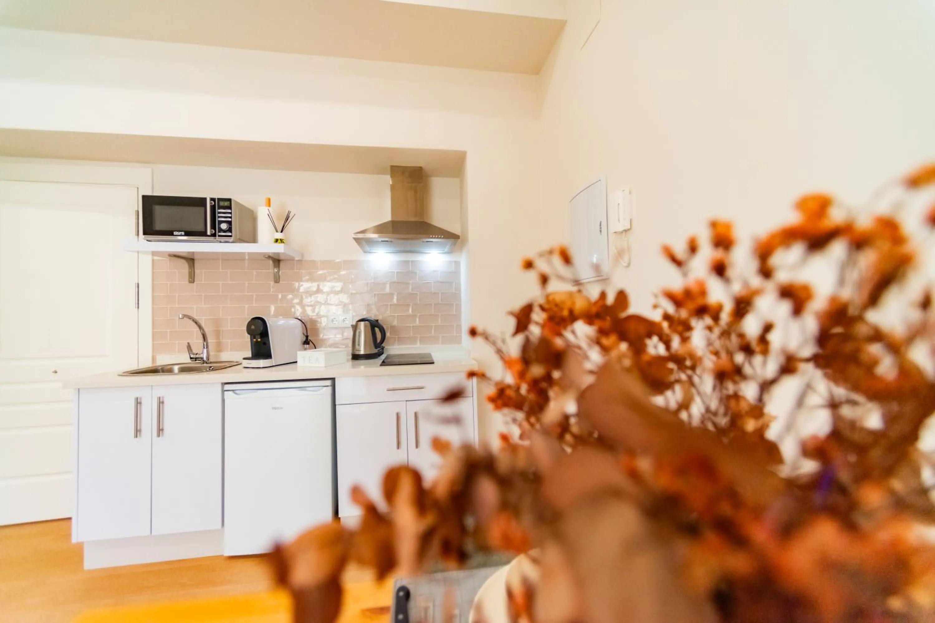 Kitchen or kitchenette in Suites Casa San Mateo