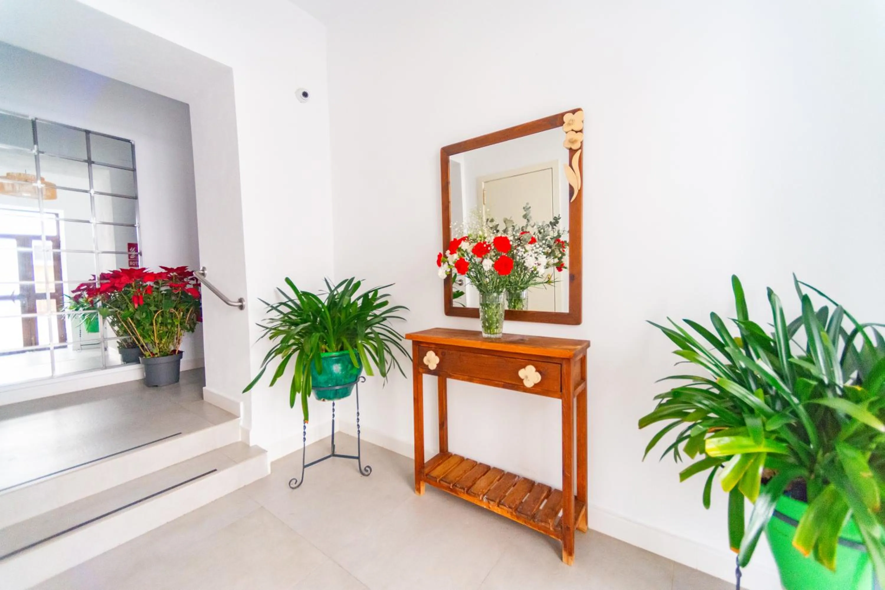 Property building in Suites Casa San Mateo