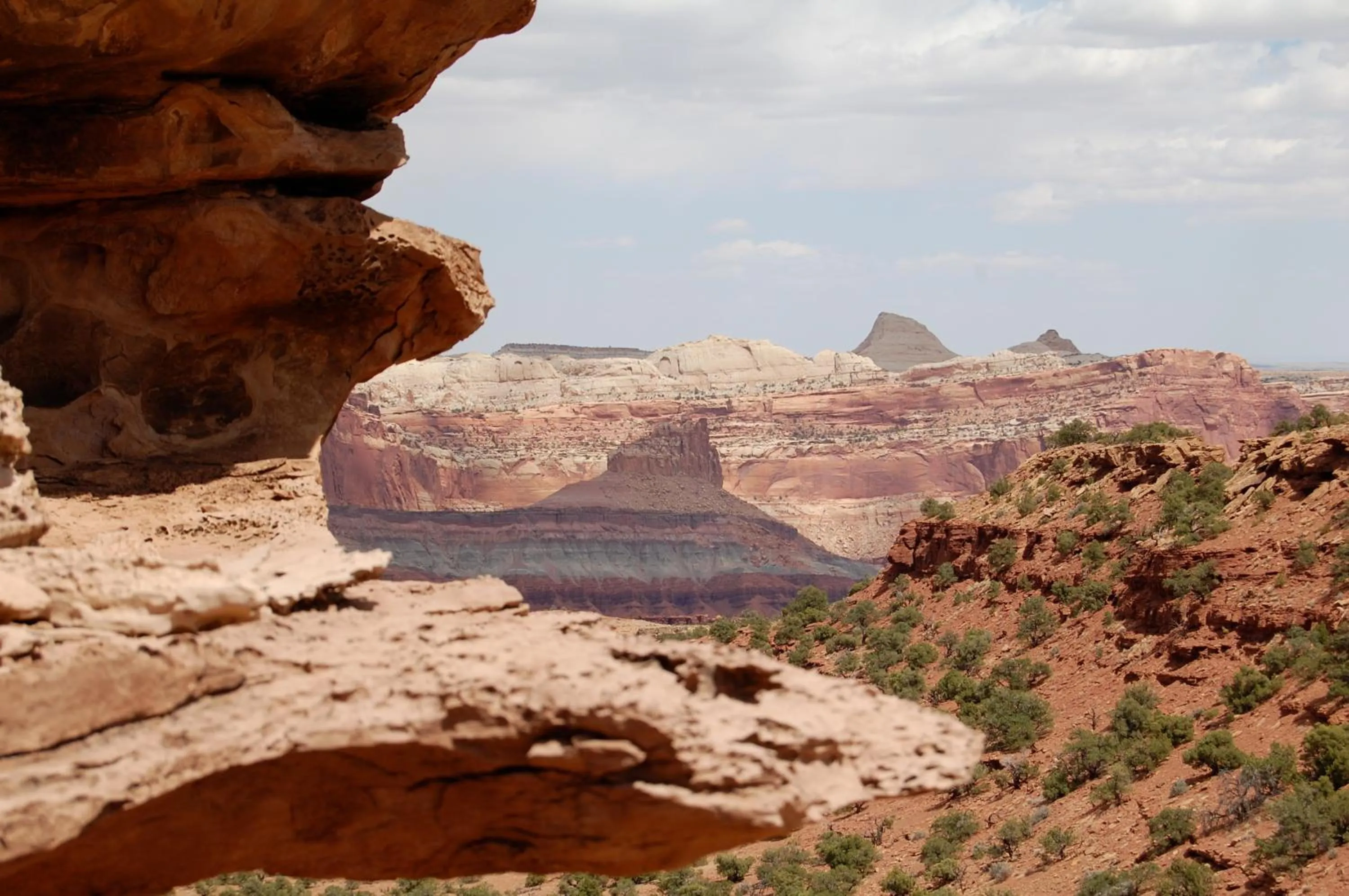 Area and facilities in The Rim Rock Inn