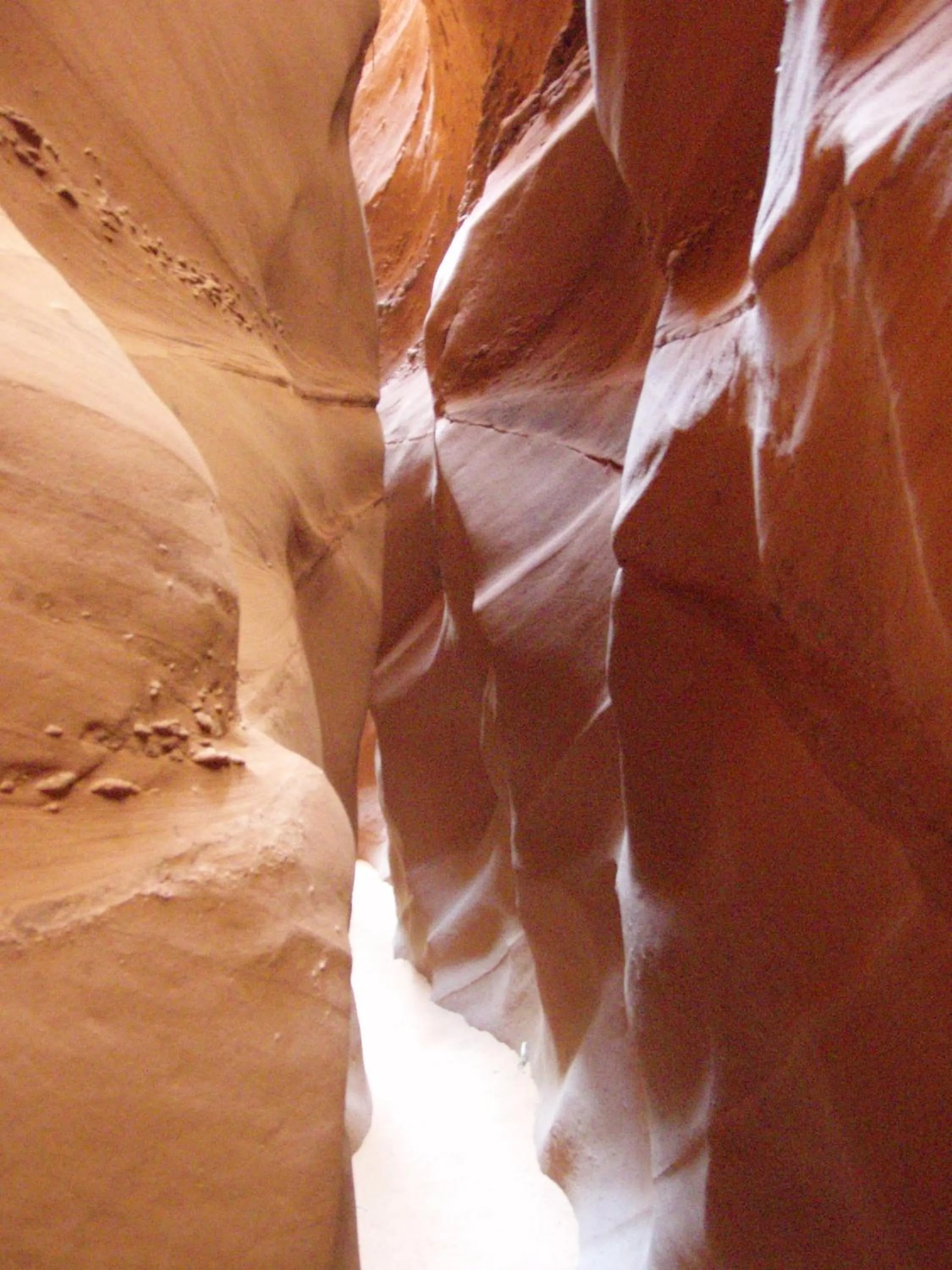 Area and facilities in The Rim Rock Inn