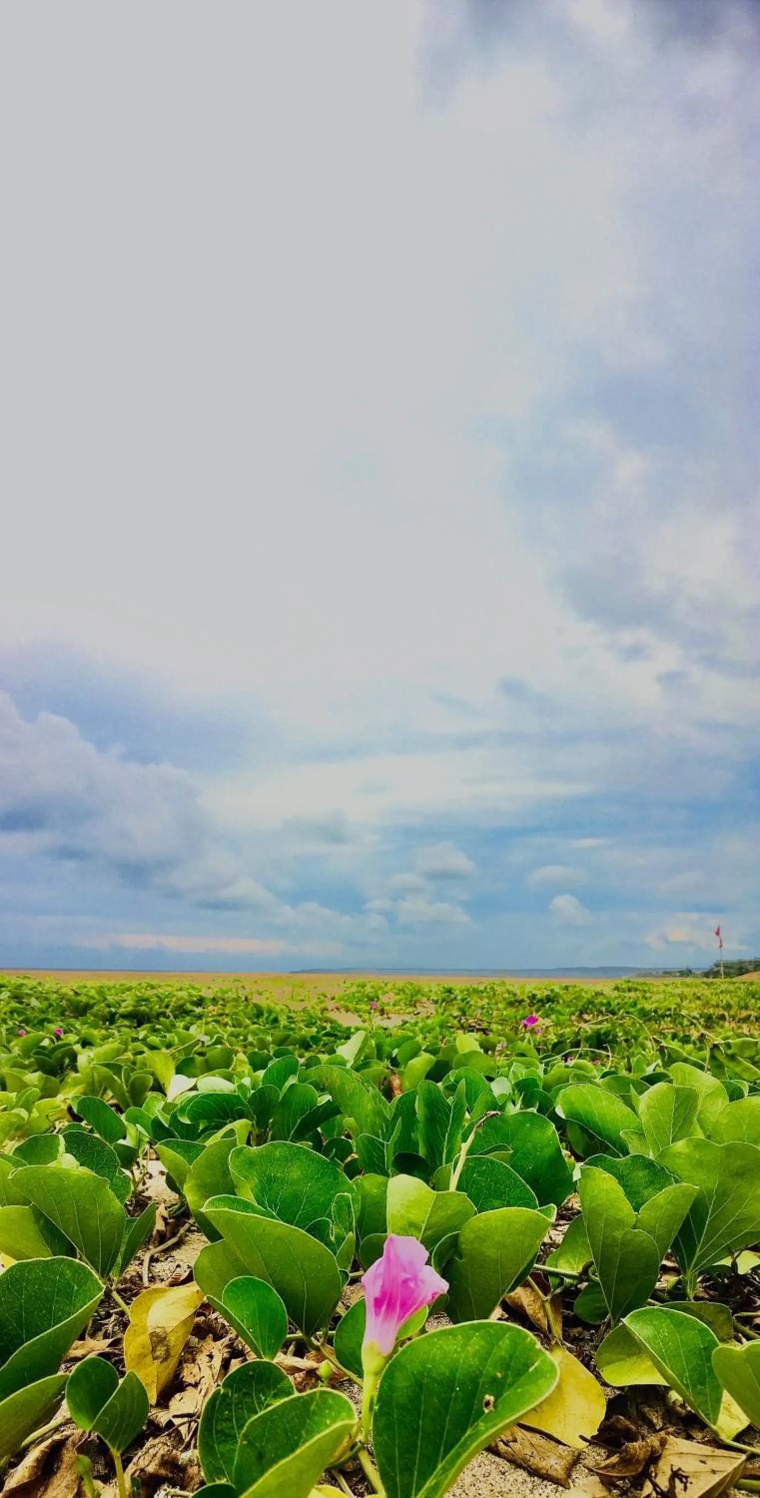 Natural landscape in 墾丁大街Kenting Night Market-福賓別館 Fu Bin Inn免費停車