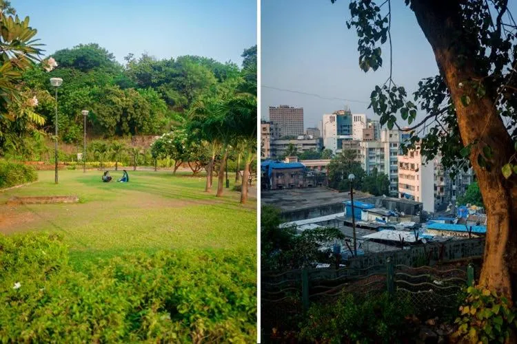 Garden view in Royal Park Hotel Dockyard