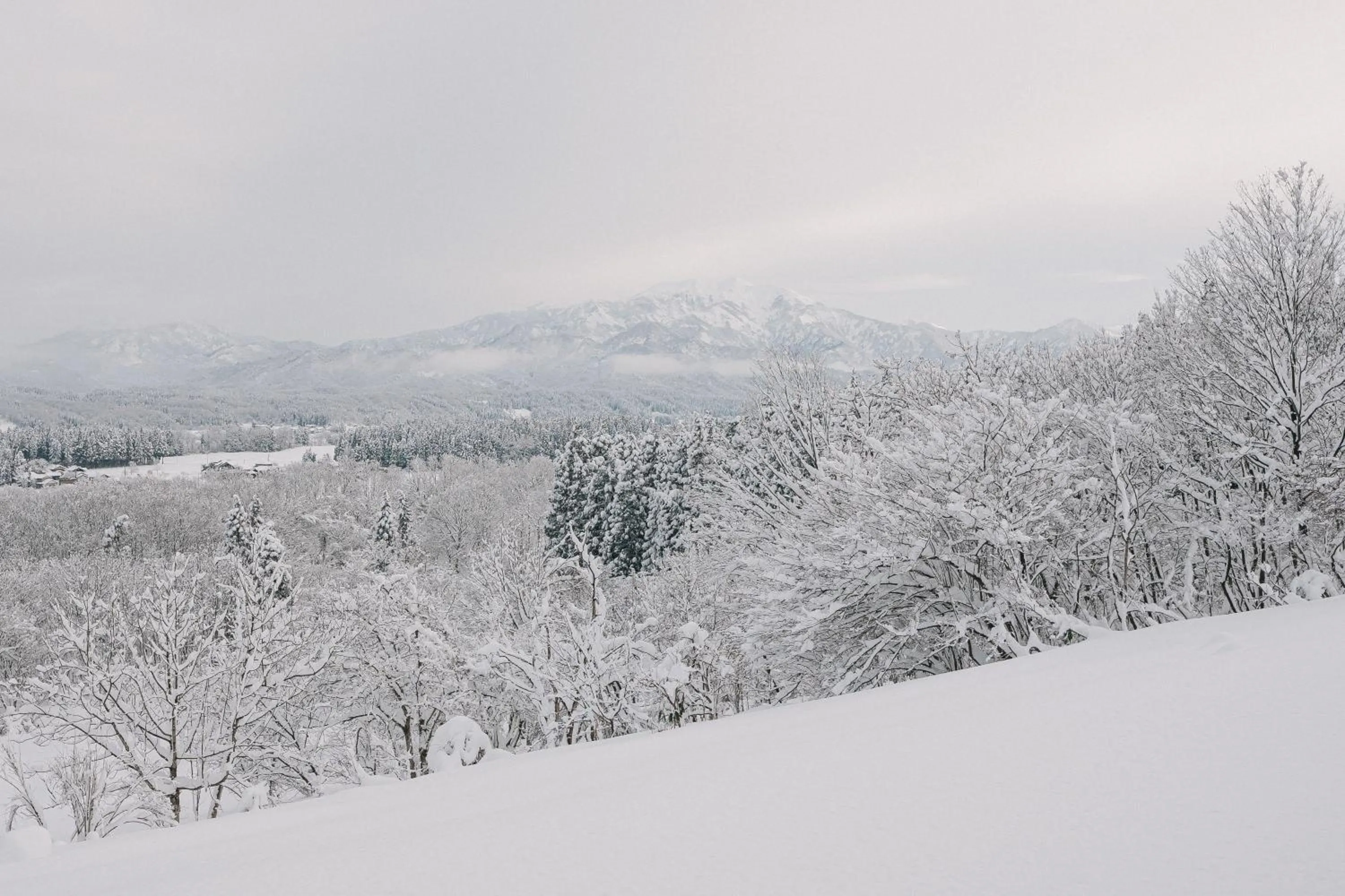 View (from property/room) in SNOW PEAK FIELD SUITE SPA HEADQUARTERS