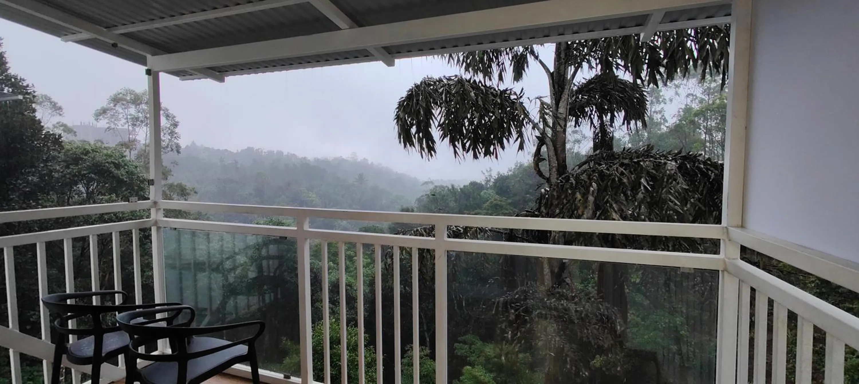 View (from property/room) in HOTEL WHITE HOUSE, Munnar