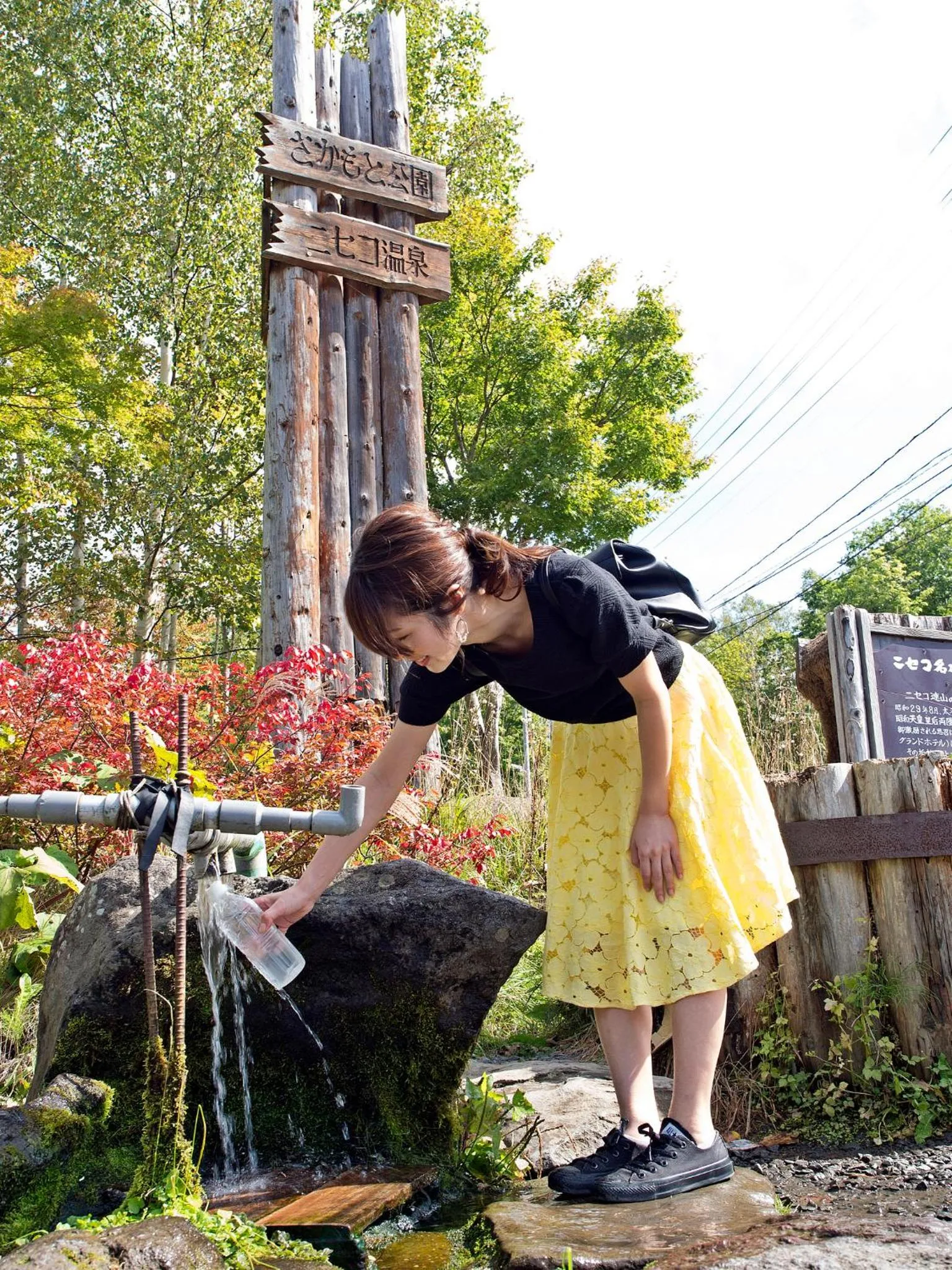 Activities in Forest Estate