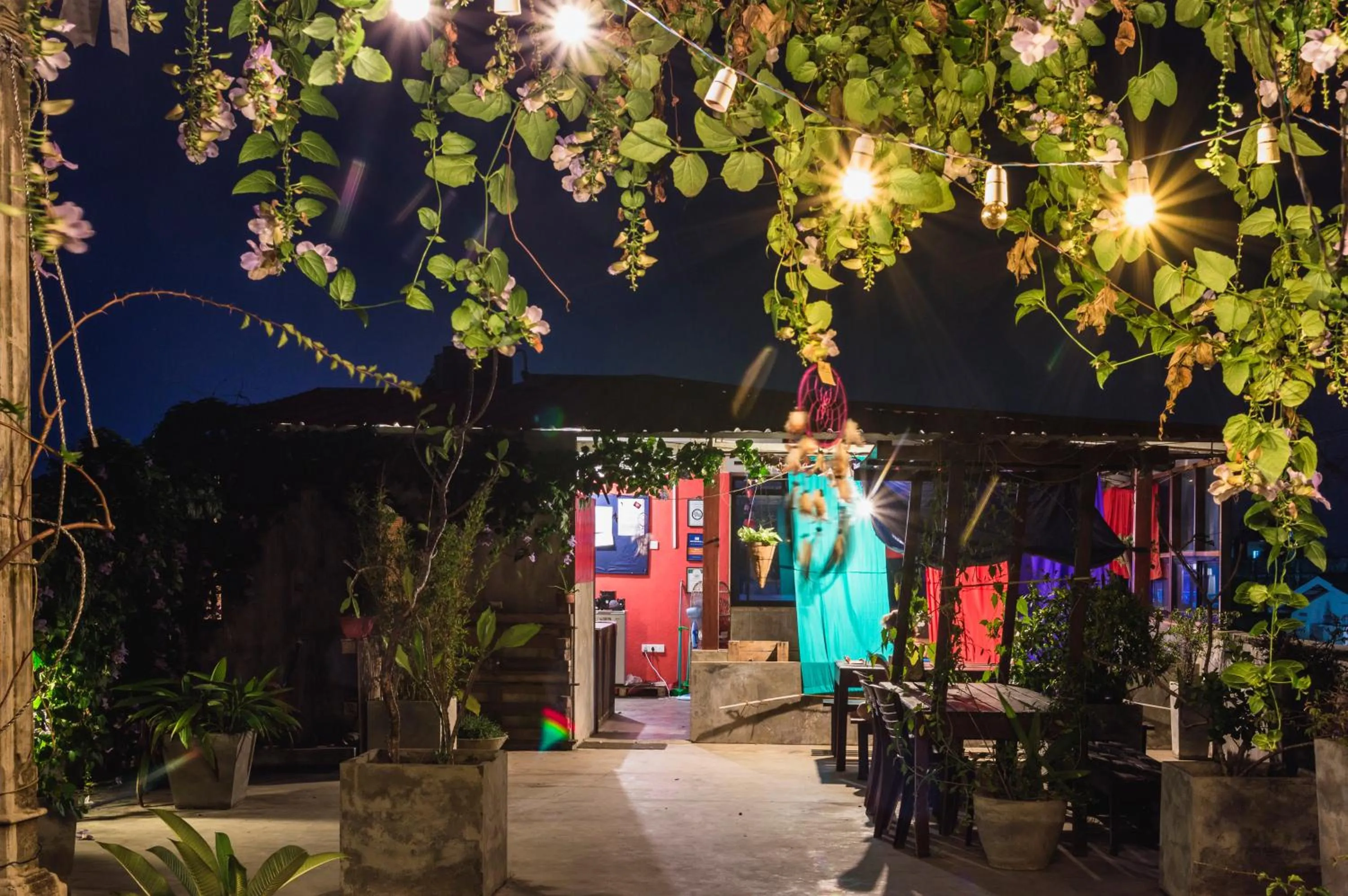 Evening entertainment in Colombo Beach Hostel