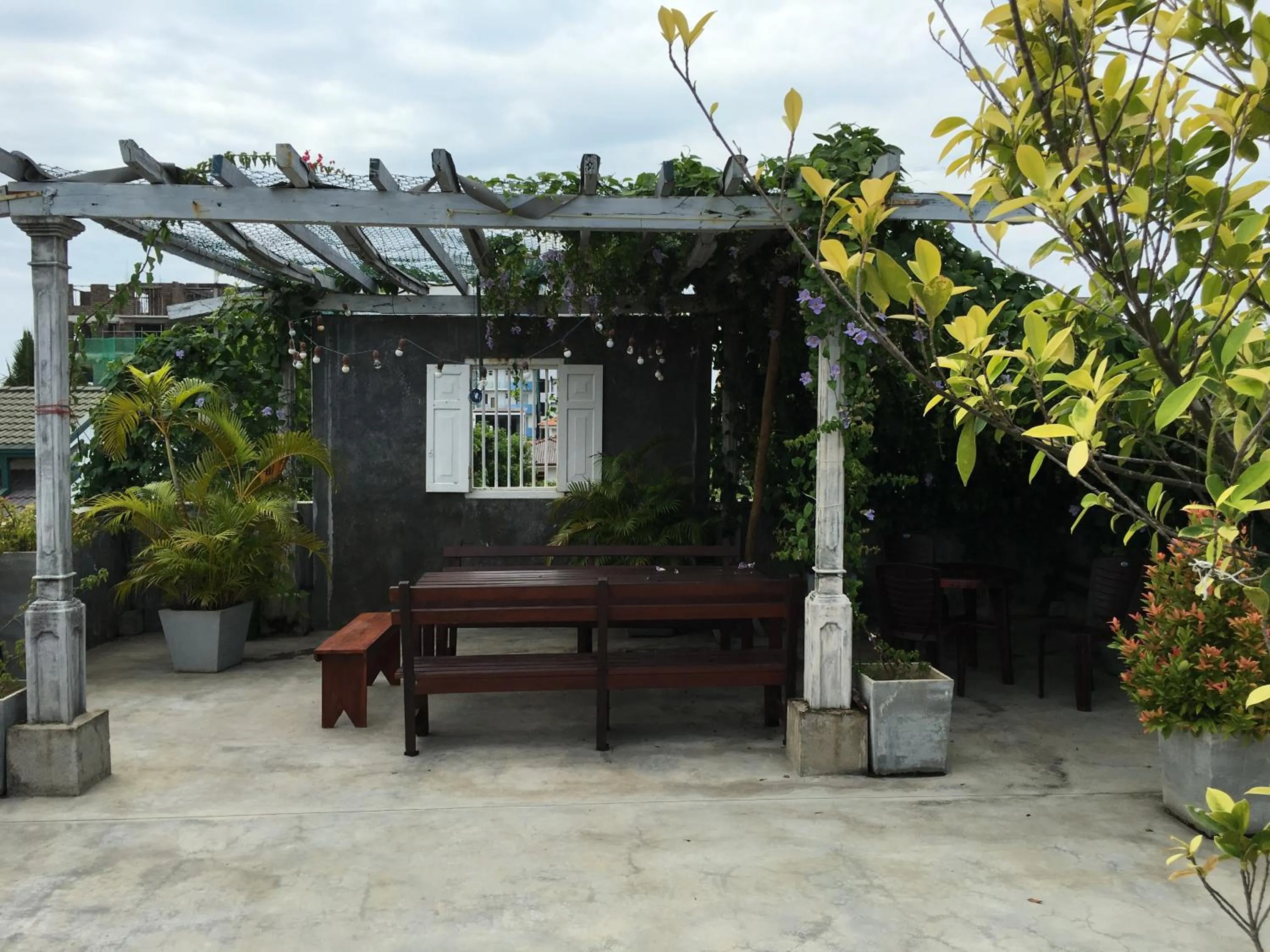 Garden in Colombo Beach Hostel