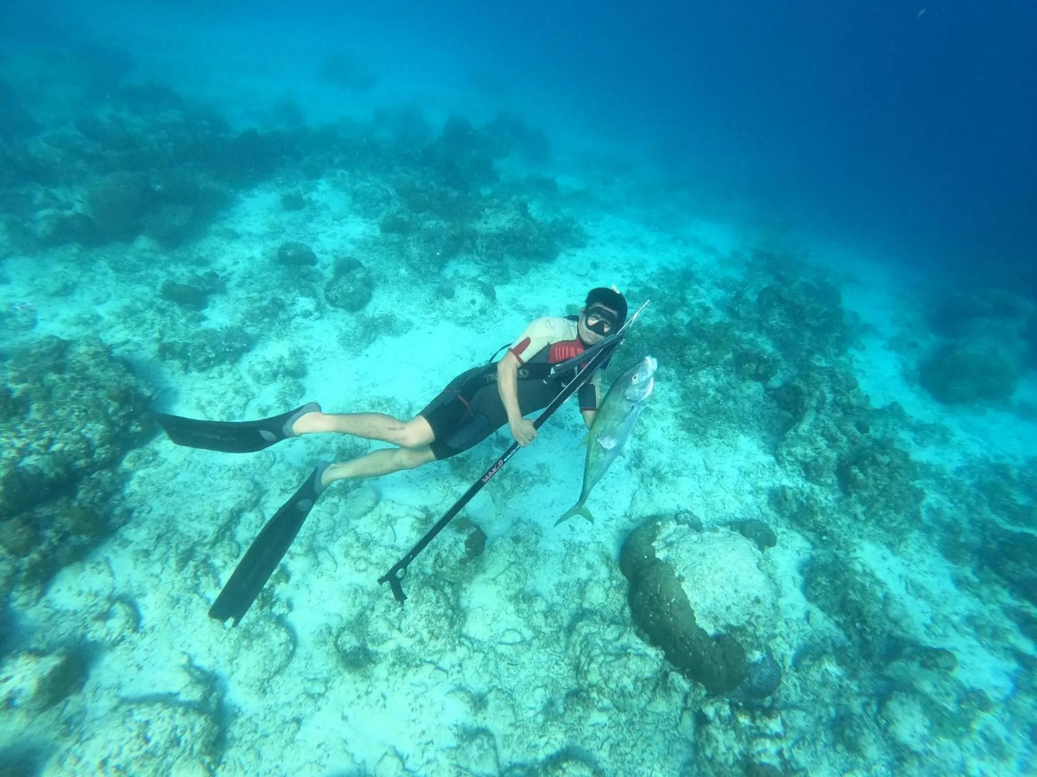 Activities in Josefina's Tourist Inn