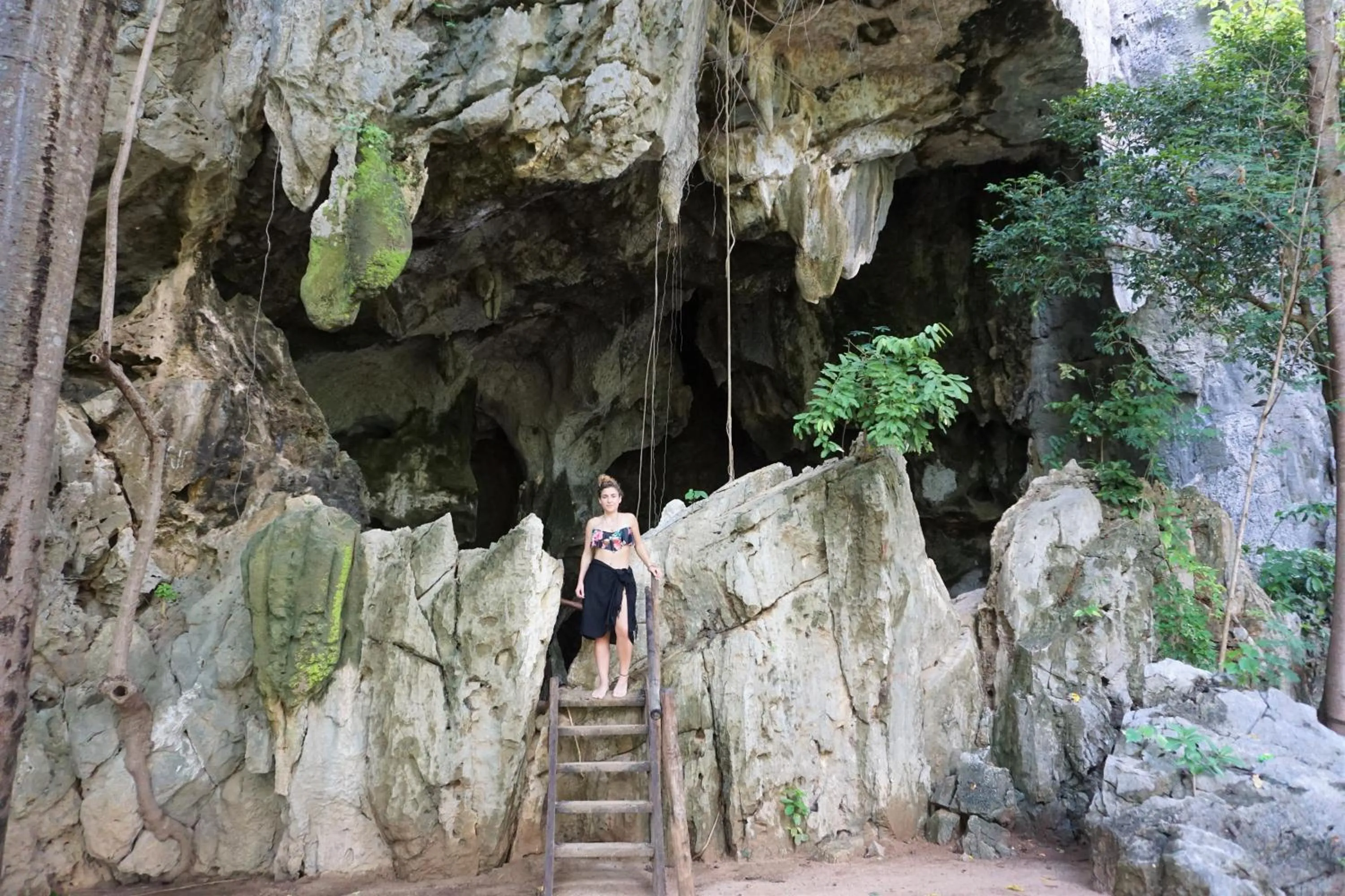Natural landscape in Josefina's Tourist Inn