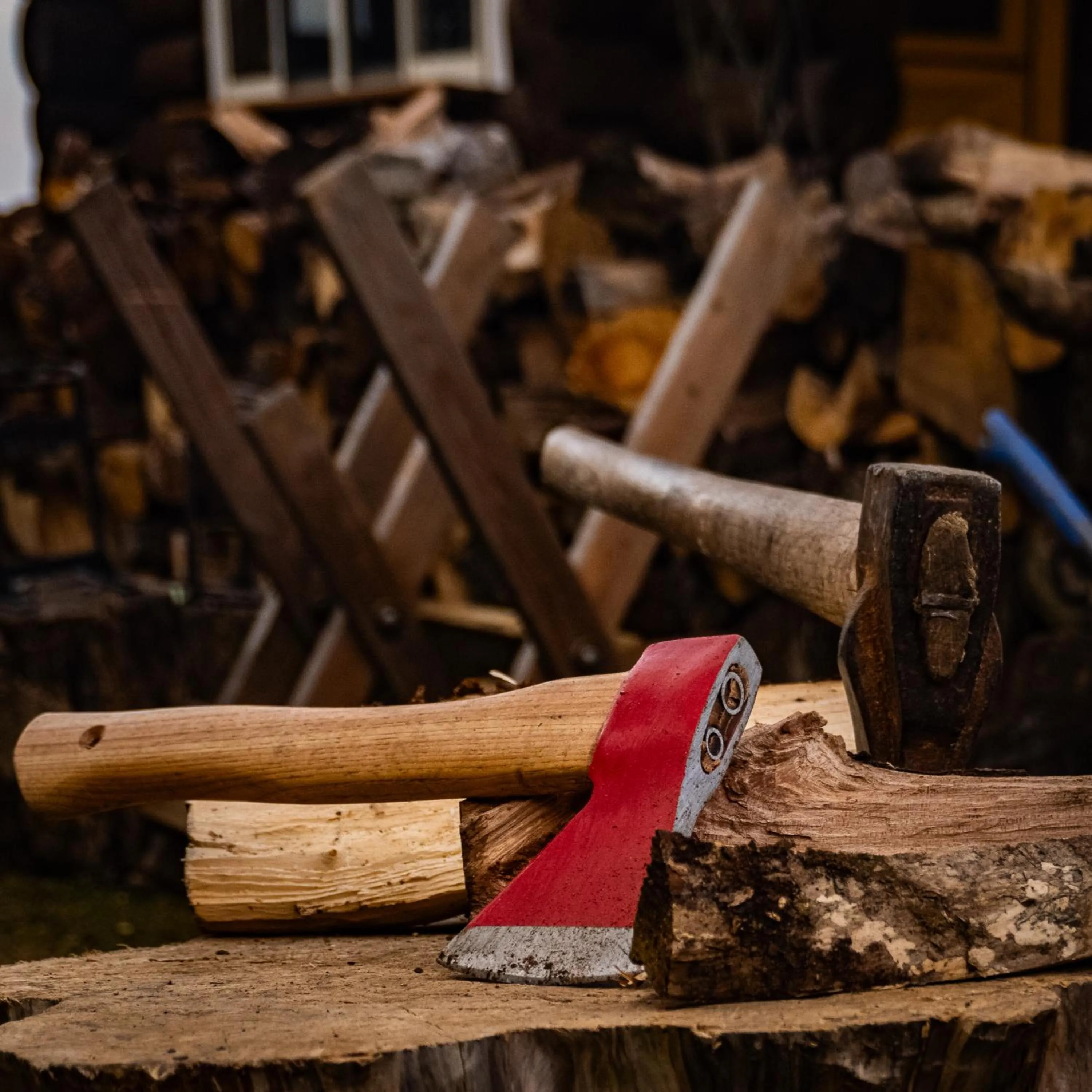 Property building in RENEST