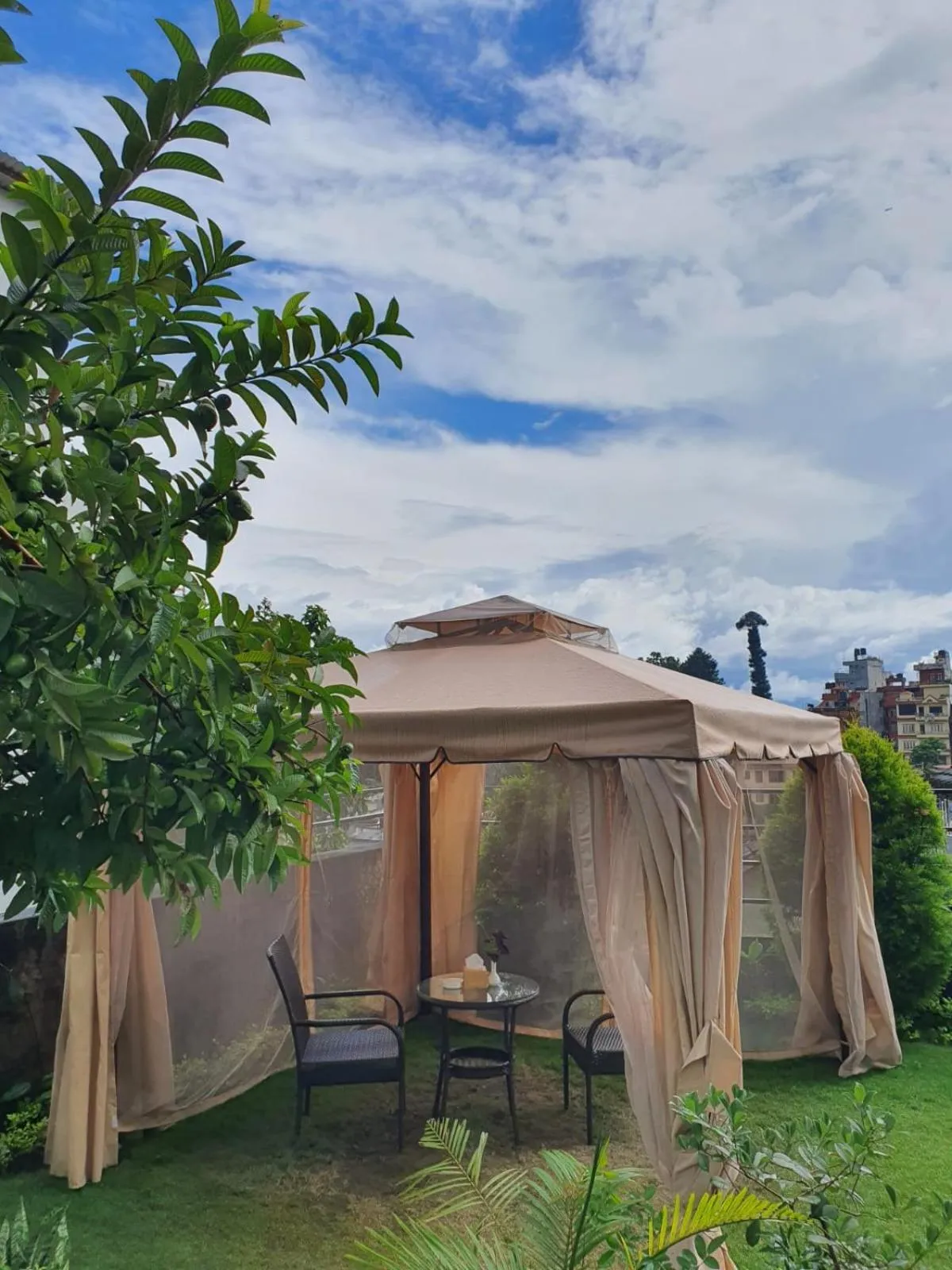 Garden in Hotel Grand View