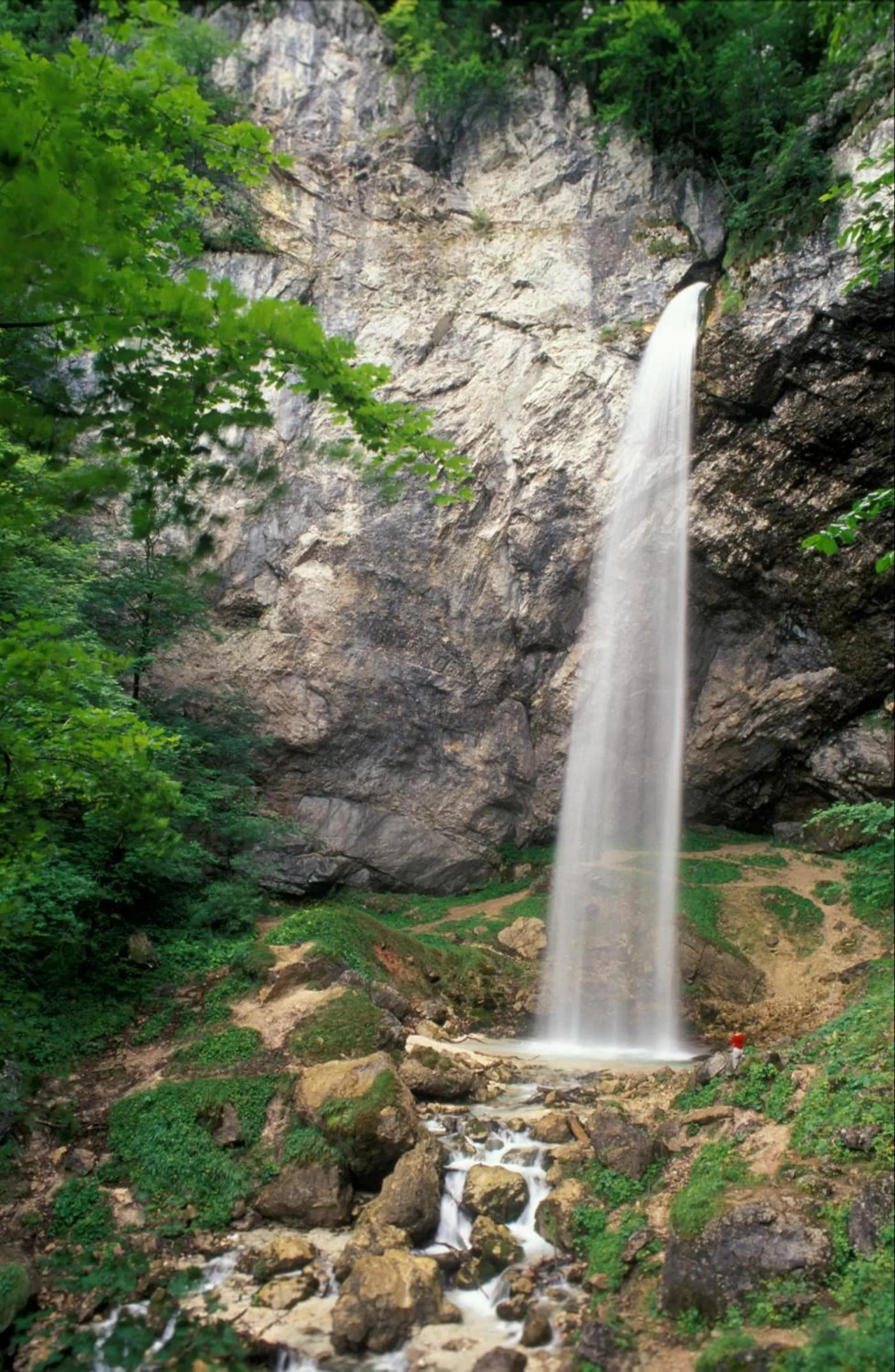 Area and facilities in Hotel Reichmann