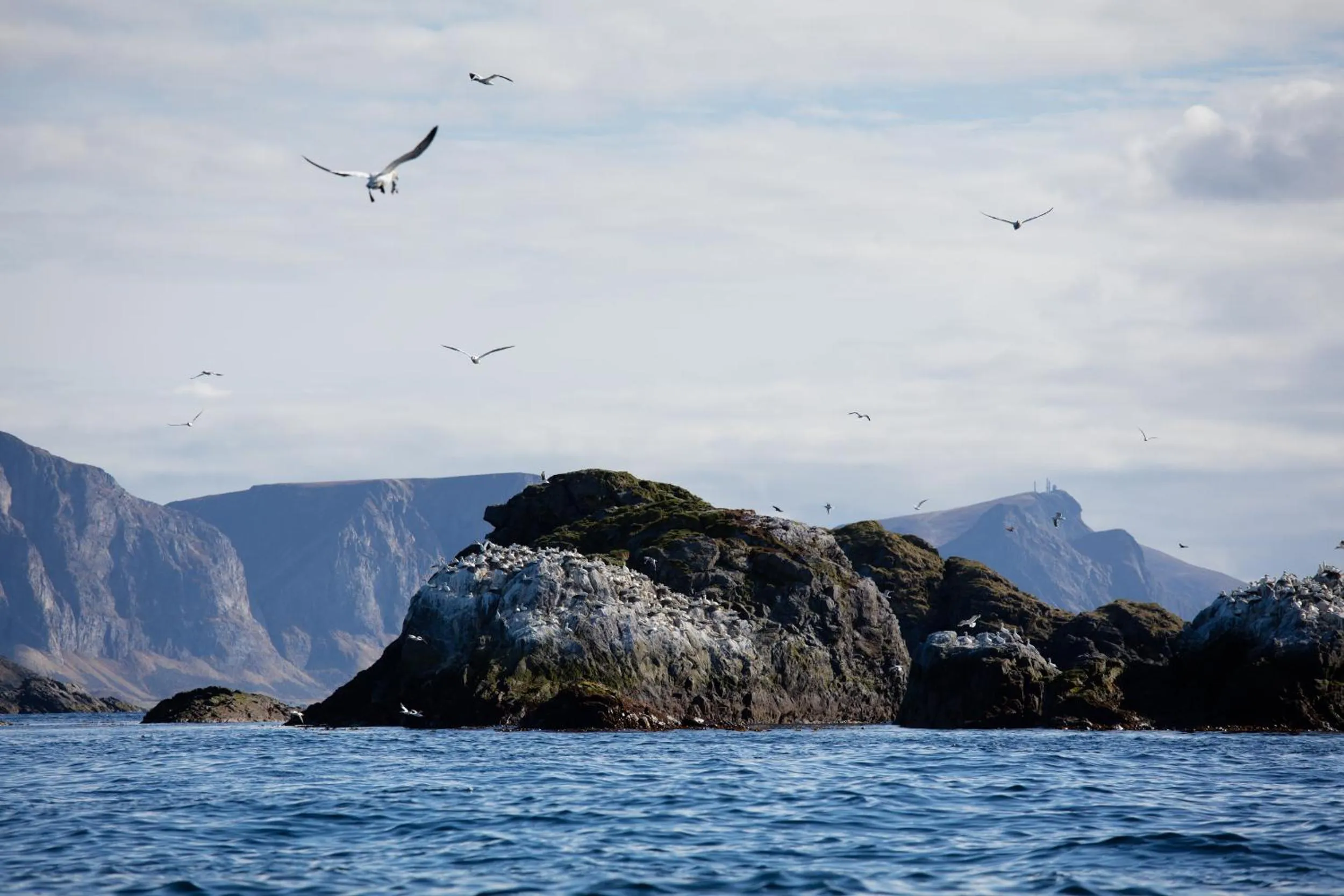 Activities in The Tide - Rorbuer