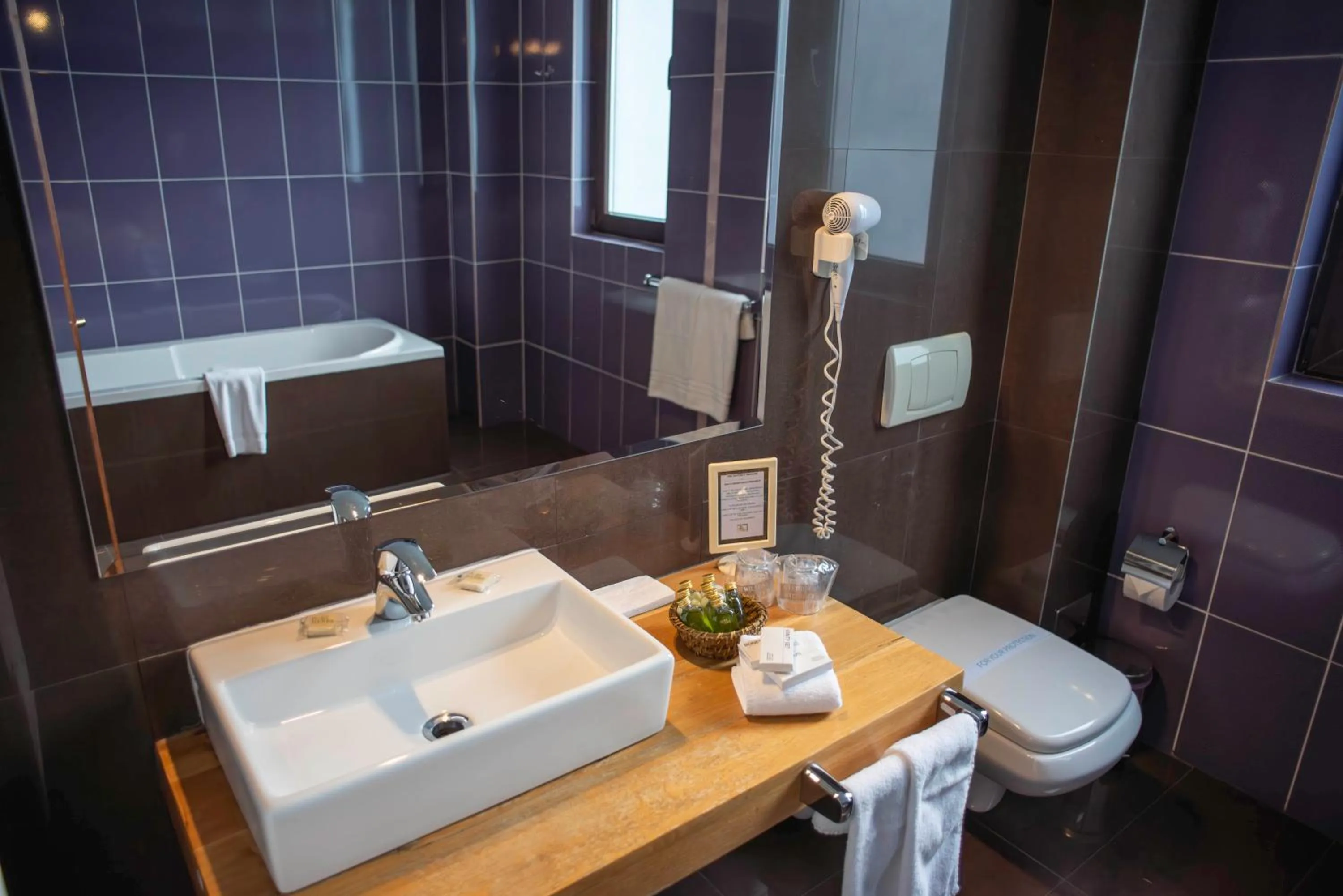 Bathroom in Paj Hotelul Retreat & Spa