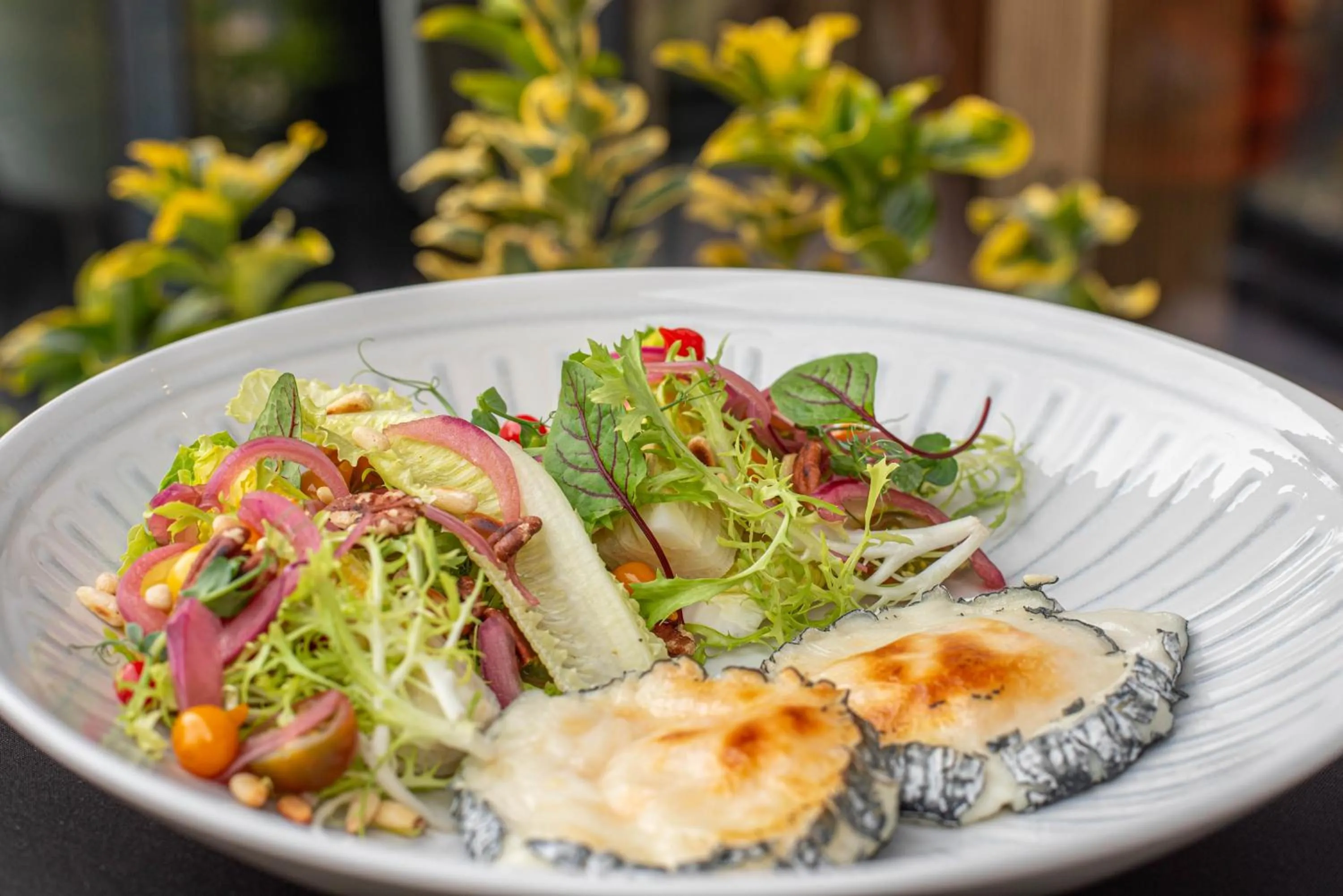 Food in Paj Hotelul Retreat & Spa