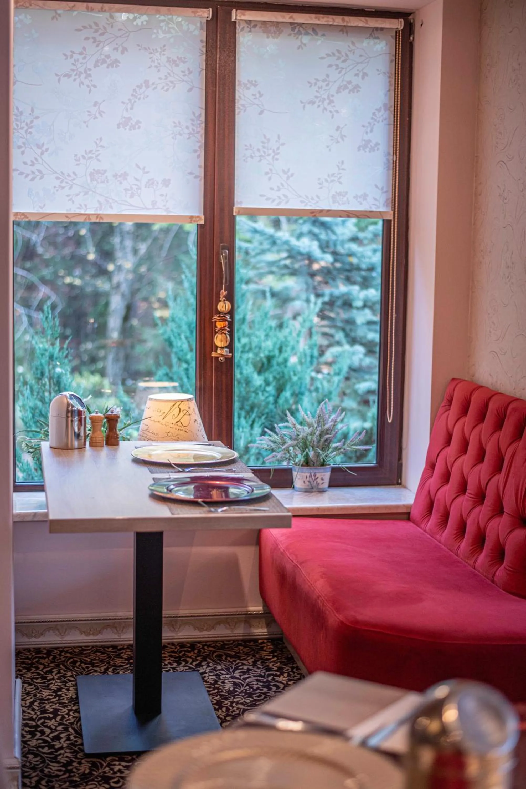 Food and drinks in Paj Hotelul Retreat & Spa