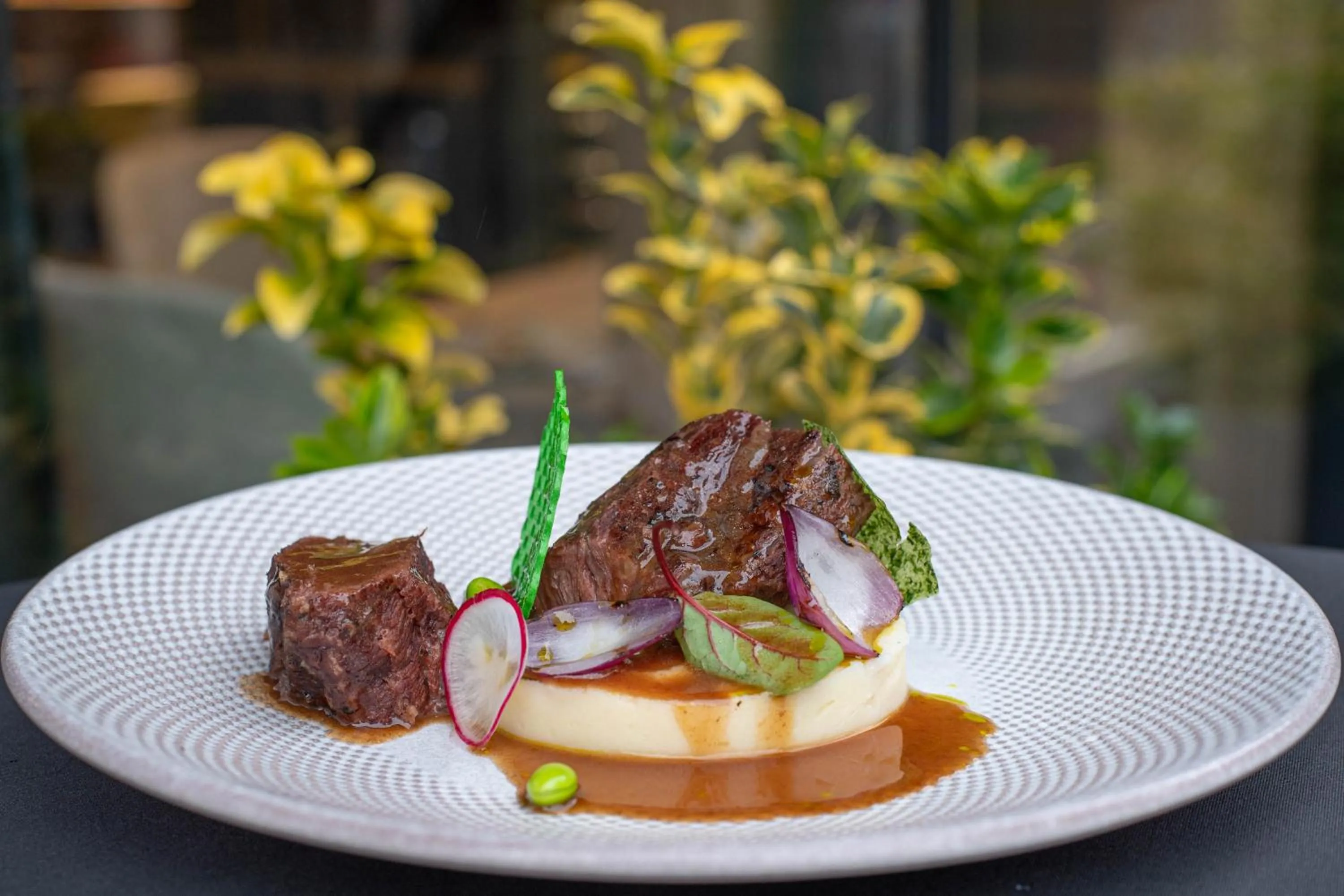 Food in Paj Hotelul Retreat & Spa