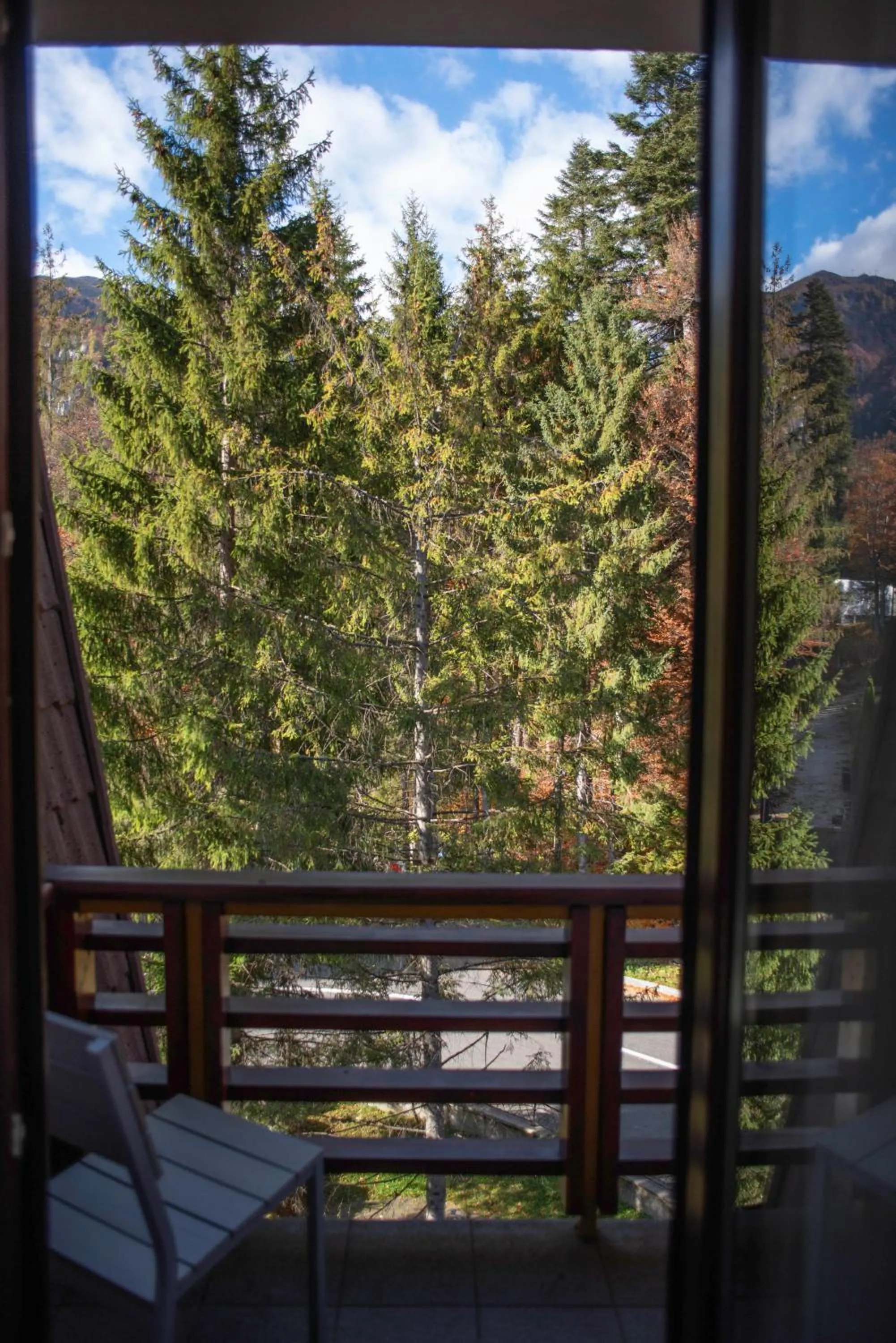 Natural landscape in Paj Hotelul Retreat & Spa