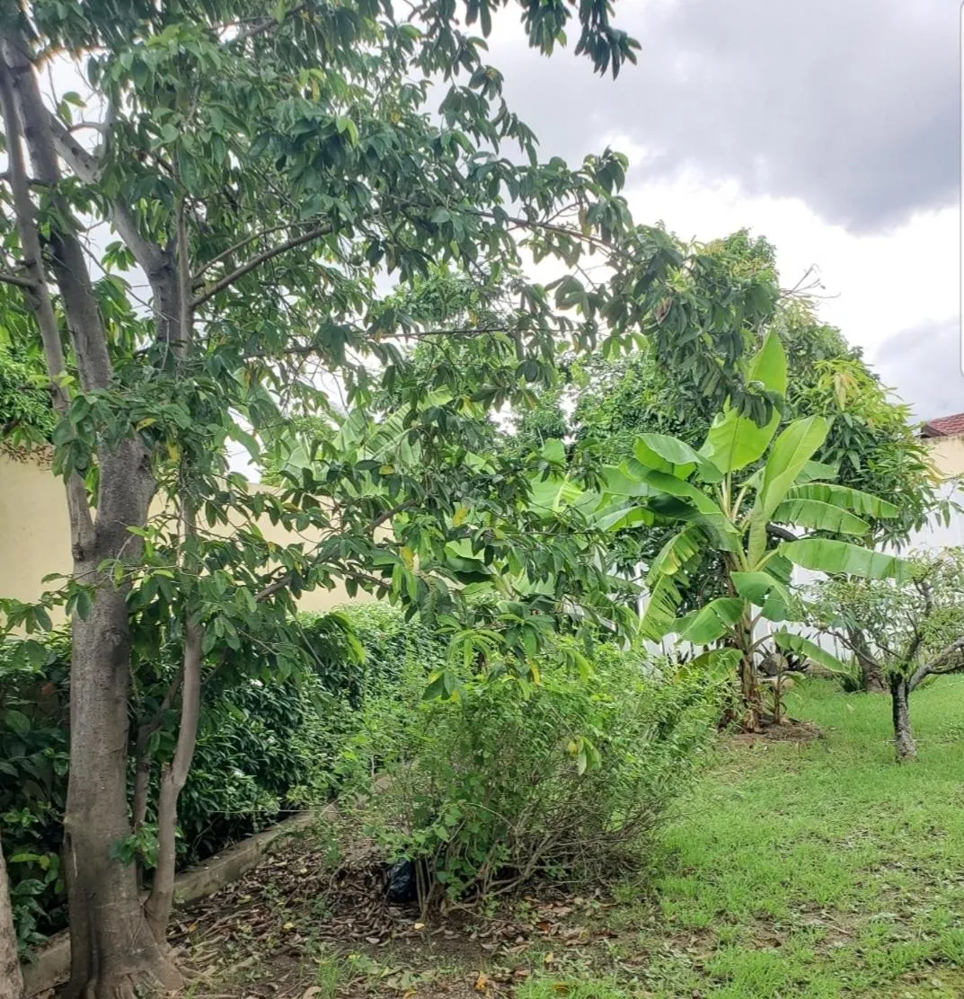 Comfortable & Secure Chateau