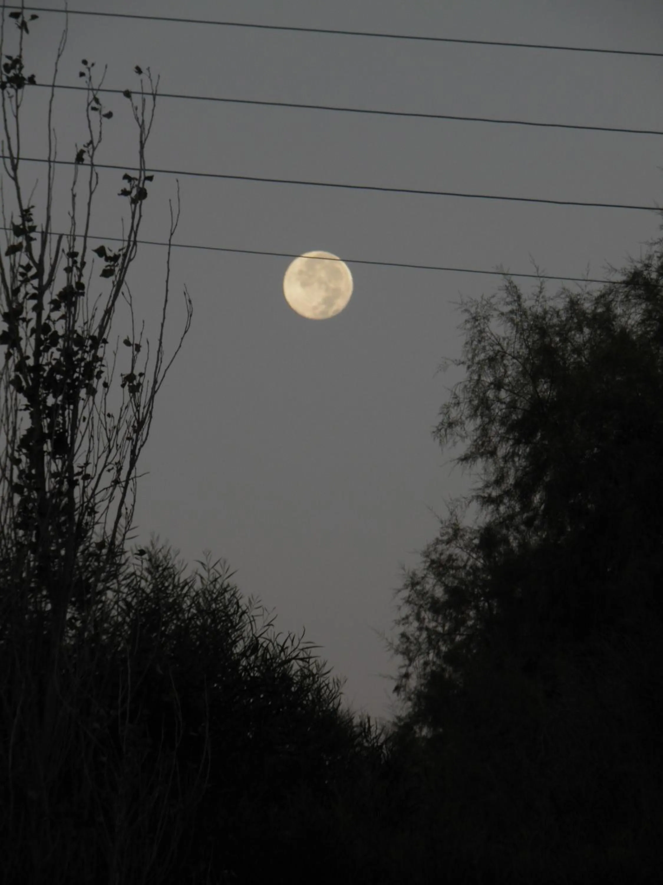 Day in Galaxias Studios