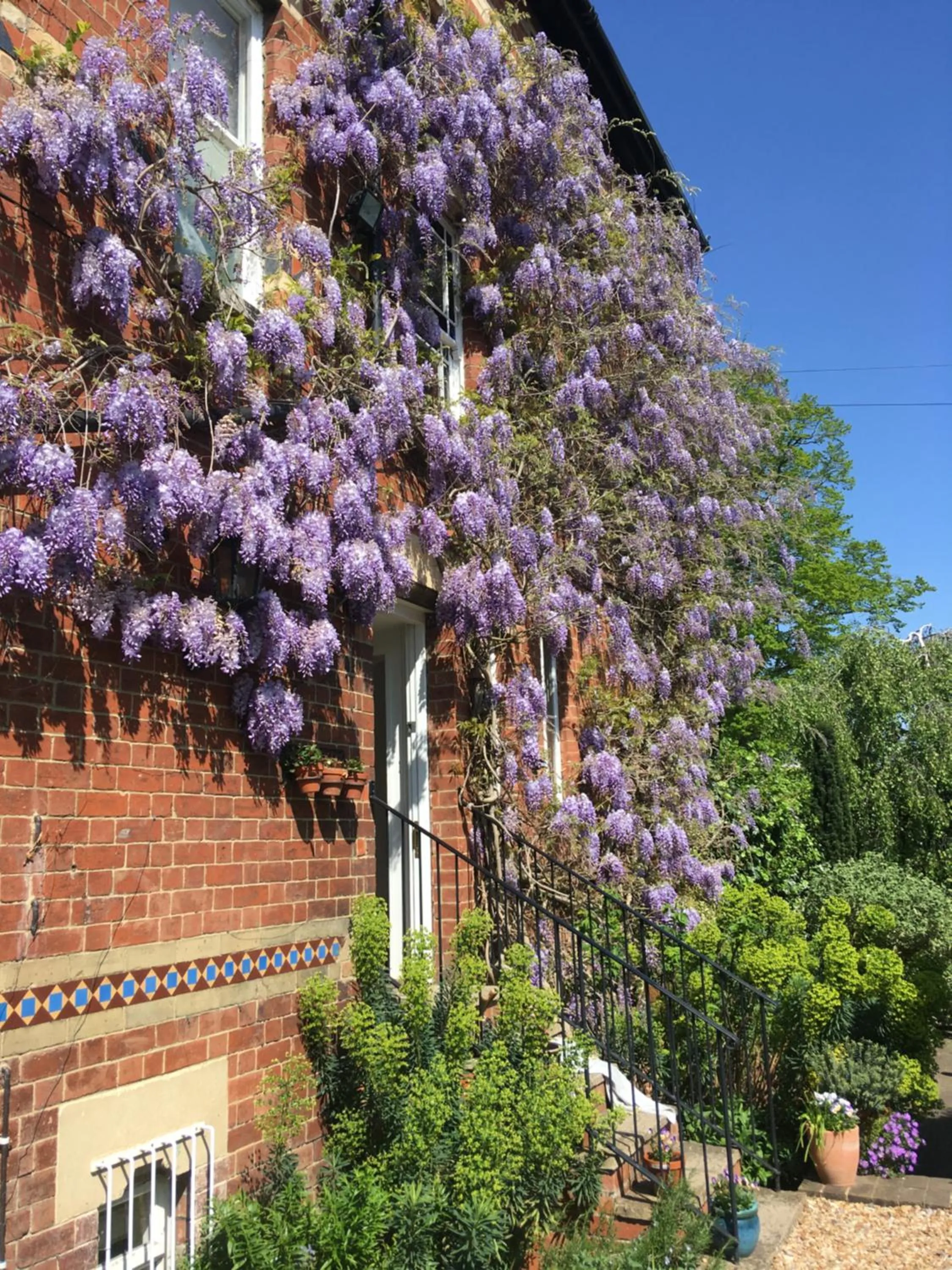 Garden in Laurel House