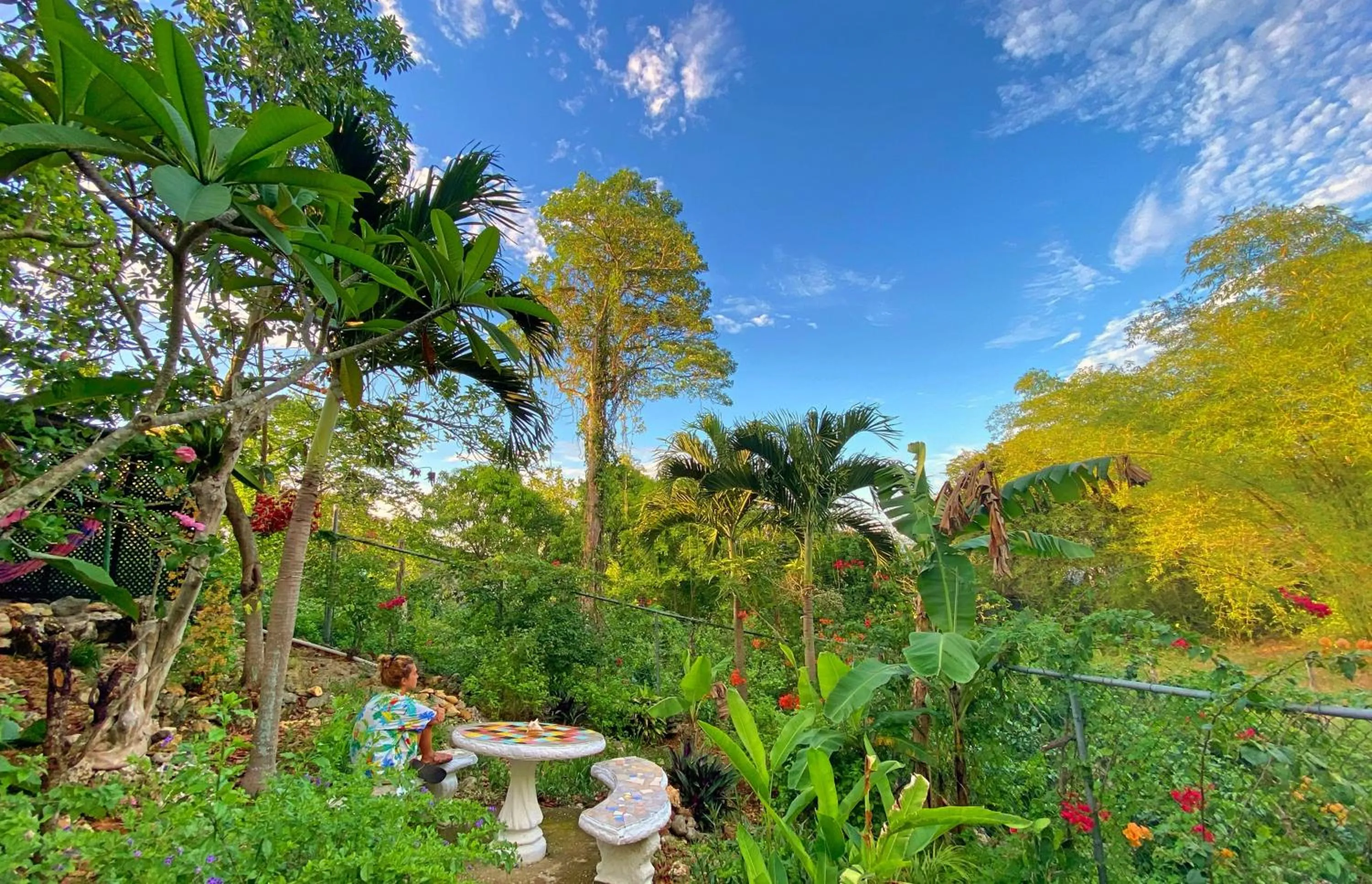 Natural landscape in Judy House Cottages and Rooms