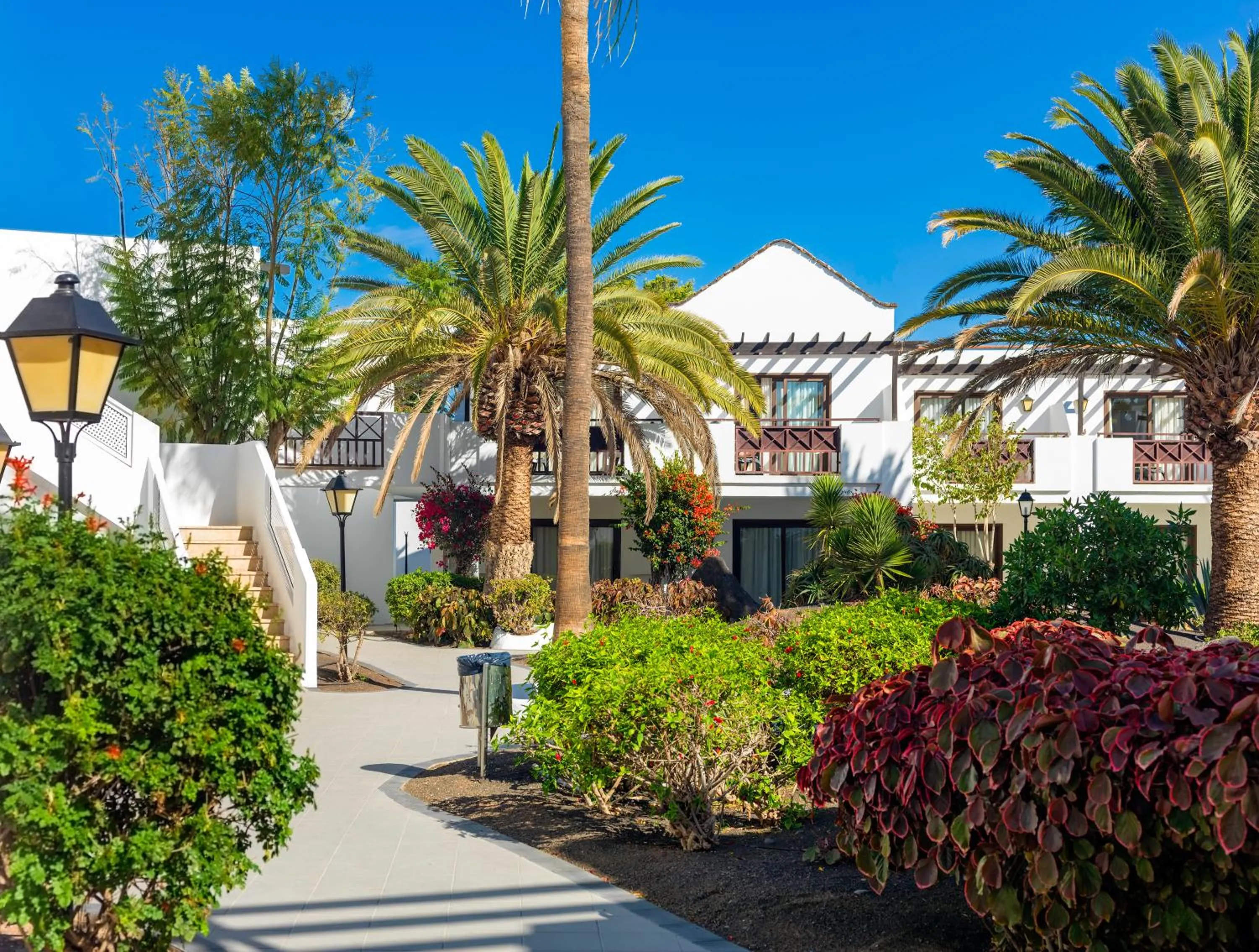 Garden in Boutique Hotel H10 White Suites - Adults Only