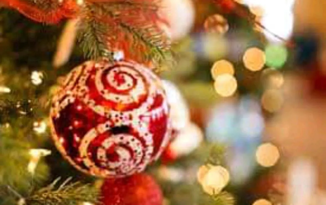 Sunbloom Beachfront Hotel and Restaurant Zambales