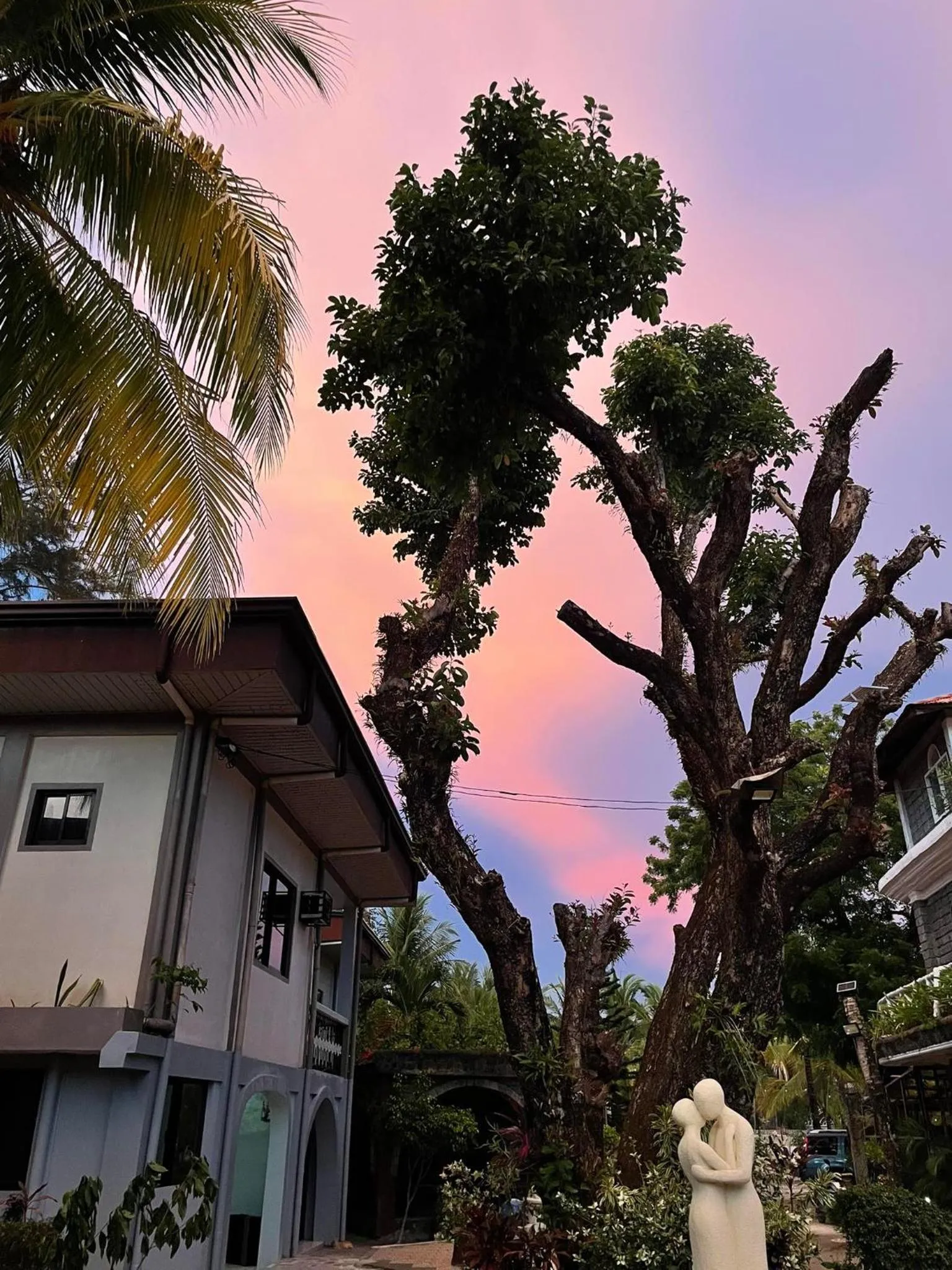 Sunbloom Beachfront Hotel and Restaurant Zambales