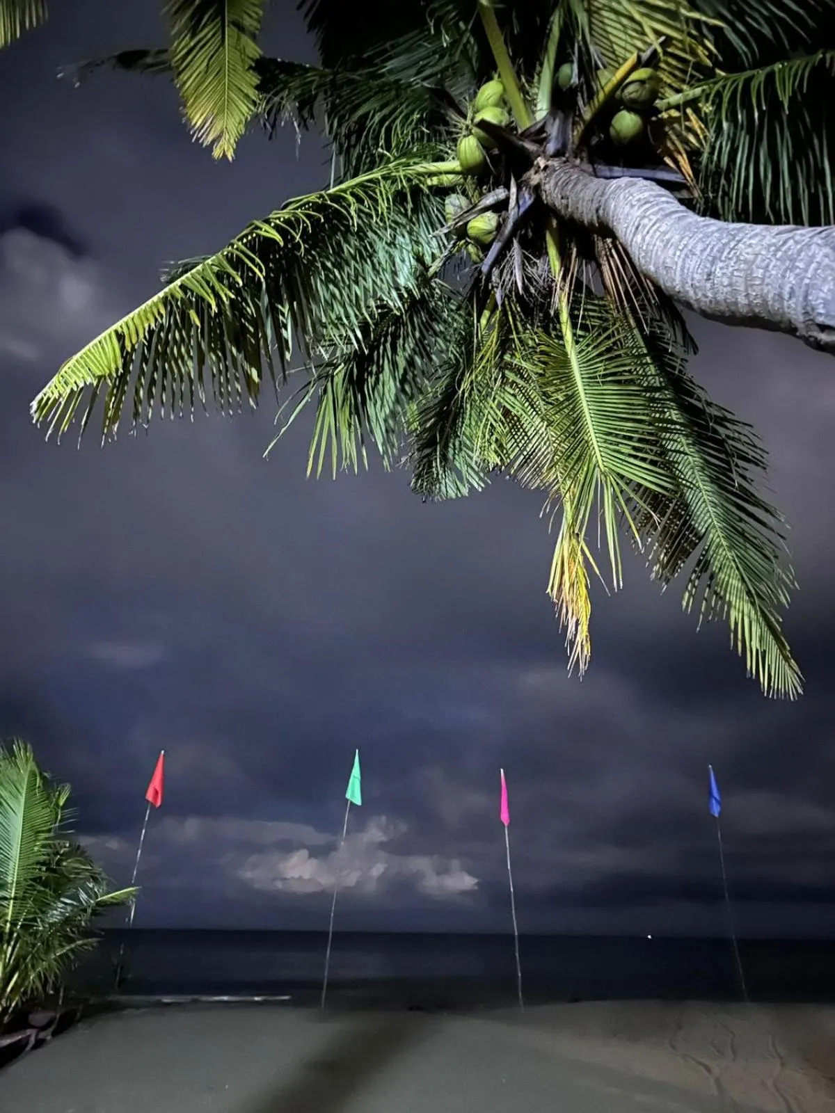 Sunbloom Beachfront Hotel and Restaurant Zambales