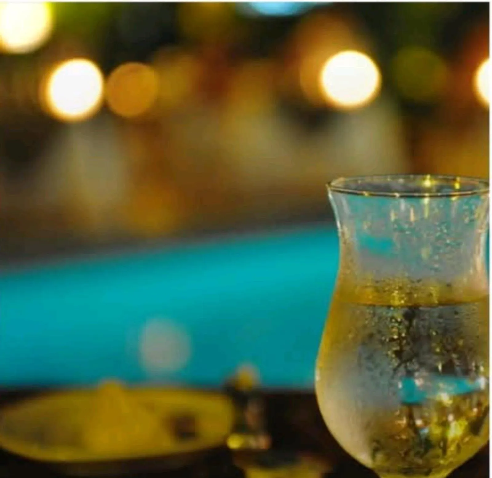 Sunbloom Beachfront Hotel and Restaurant Zambales