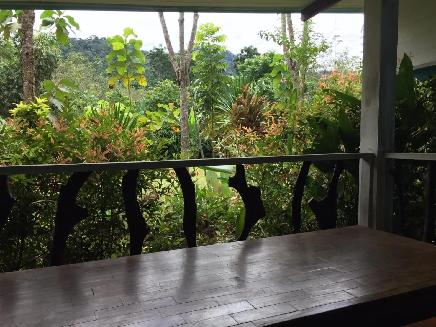 Mountain view in Baansuan Suksangob Farm Stay