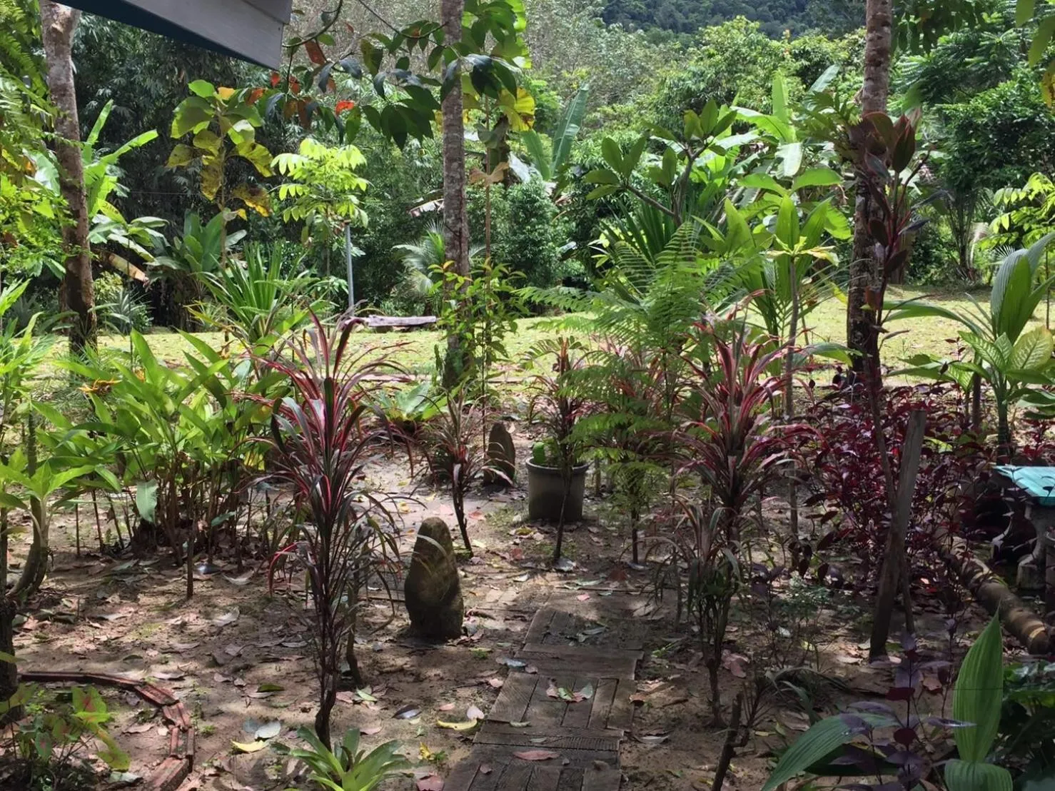 Garden in Baansuan Suksangob Farm Stay
