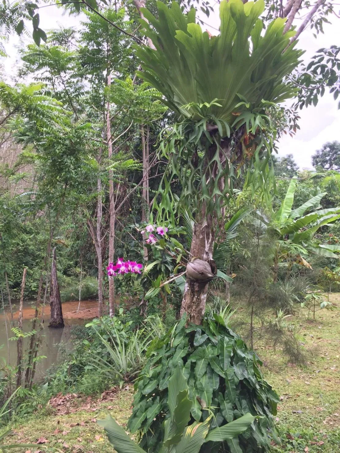 River view in Baansuan Suksangob Farm Stay
