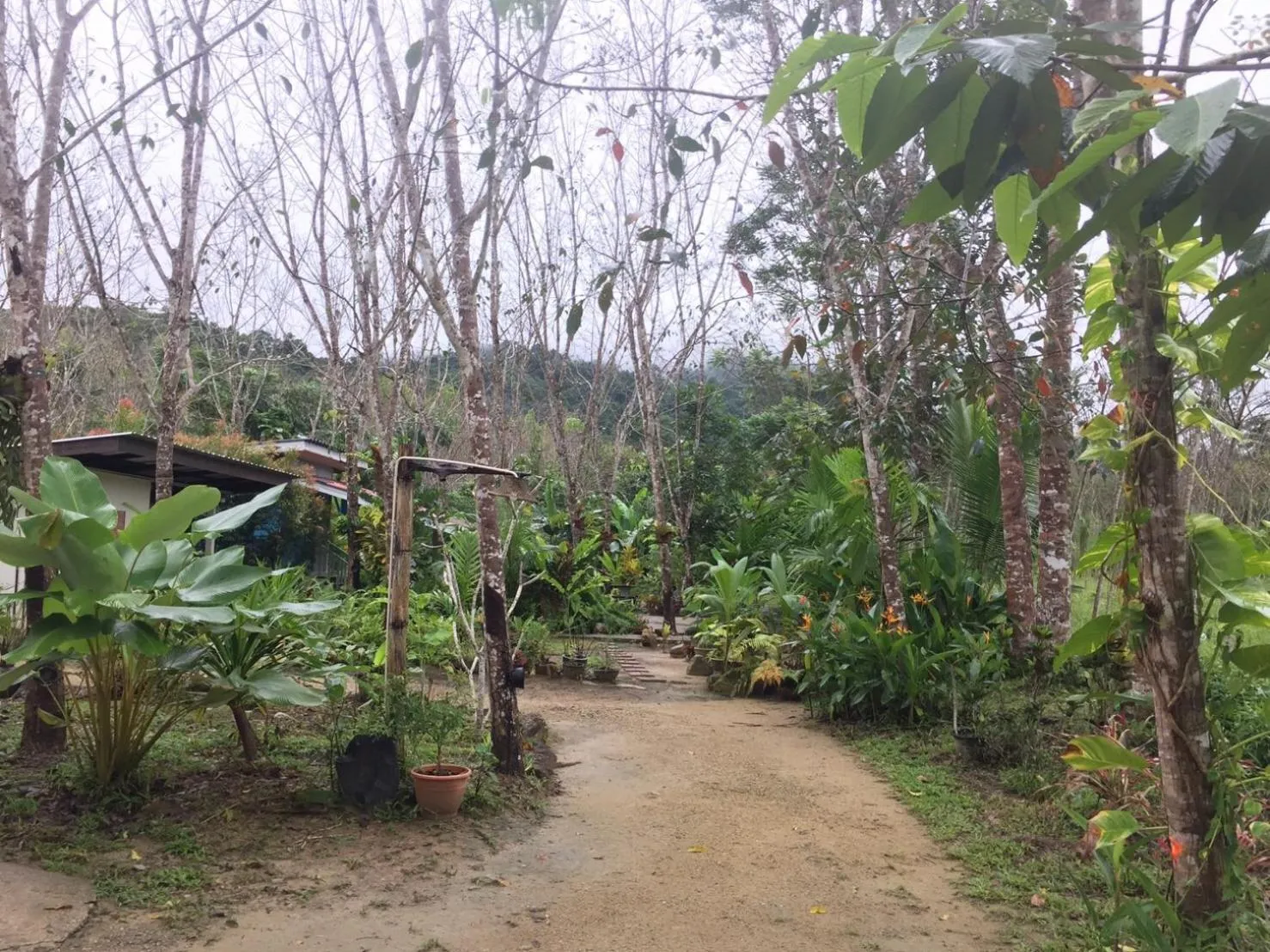 Garden in Baansuan Suksangob Farm Stay