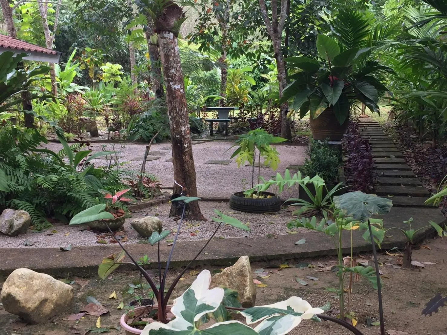 Natural landscape in Baansuan Suksangob Farm Stay