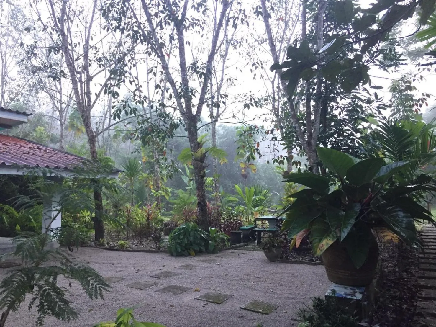 Garden view in Baansuan Suksangob Farm Stay