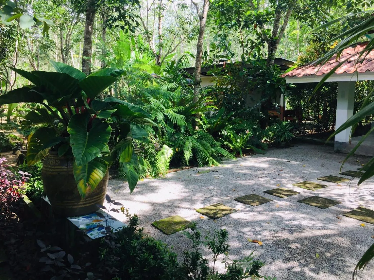 Garden in Baansuan Suksangob Farm Stay