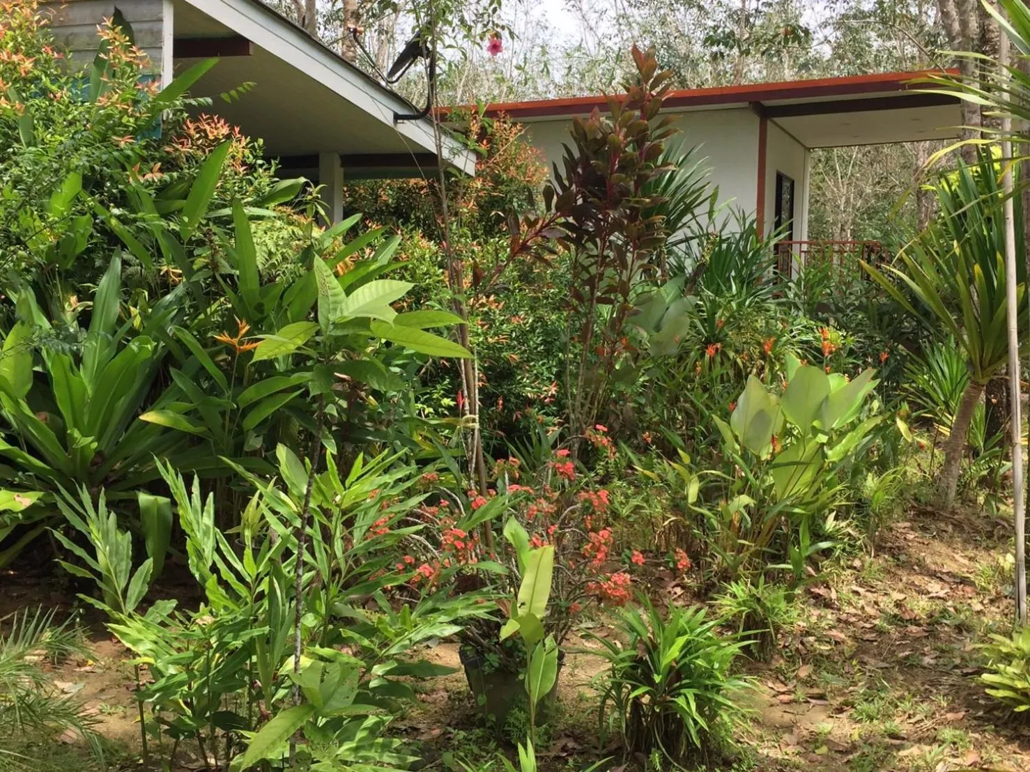 Property building in Baansuan Suksangob Farm Stay