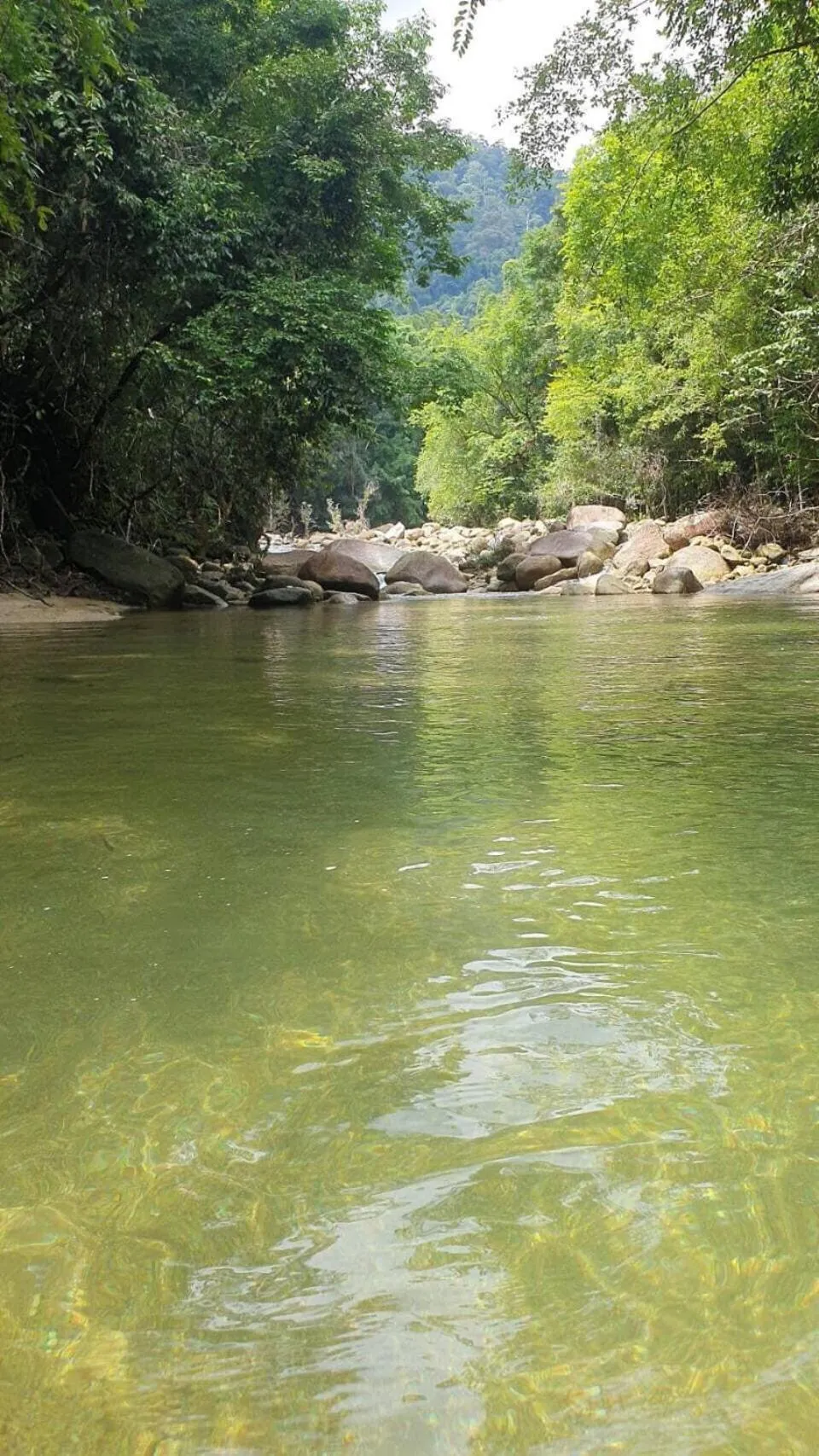 Natural landscape in Baansuan Suksangob Farm Stay