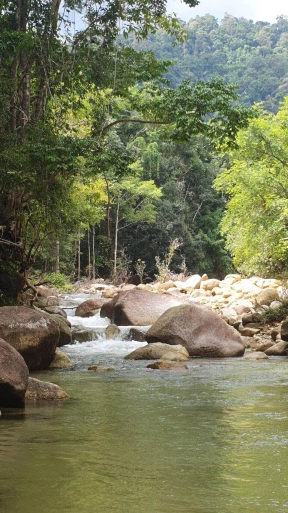 Natural landscape in Baansuan Suksangob Farm Stay