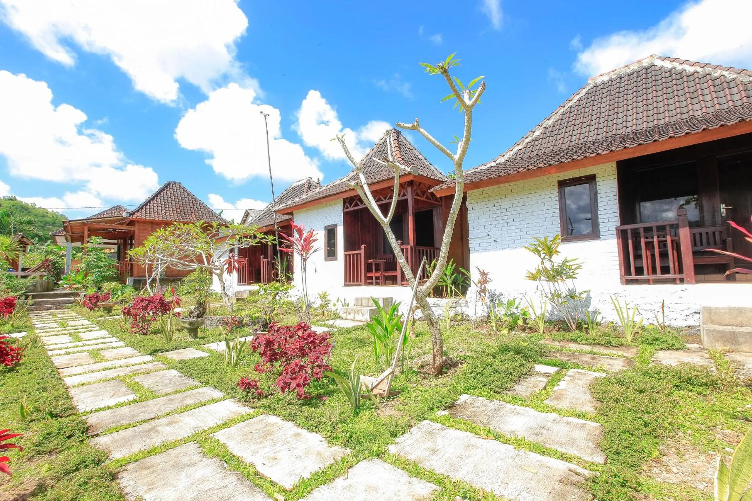 Garden view in THE DARA HILL