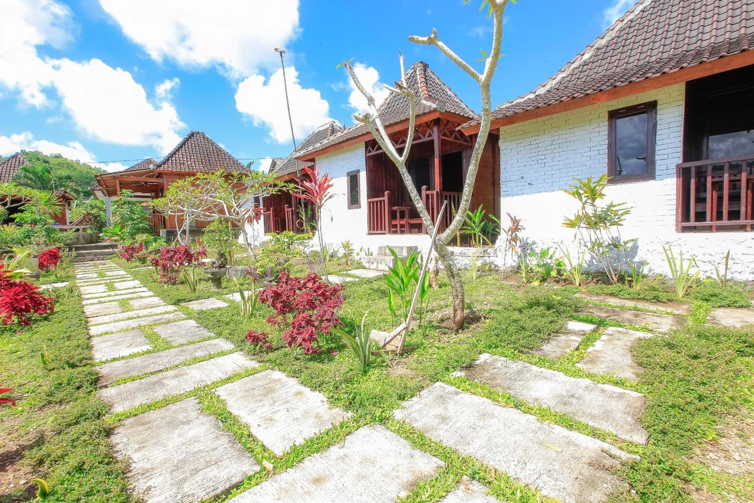 Garden view in THE DARA HILL