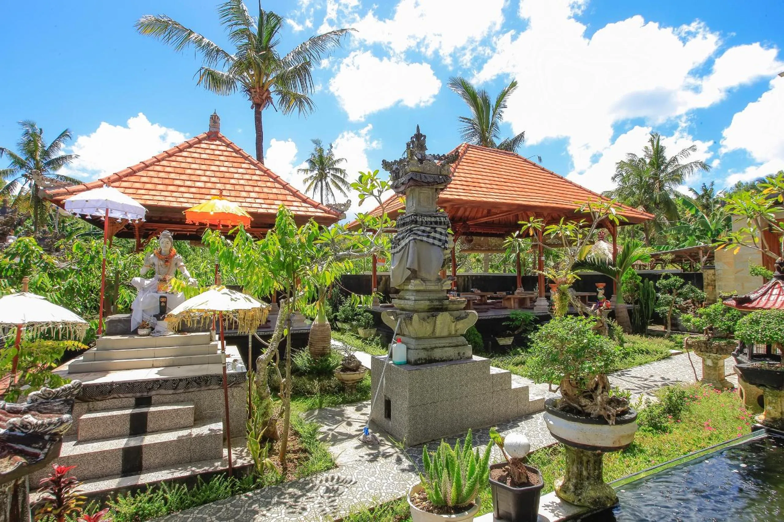 Garden view in THE DARA HILL