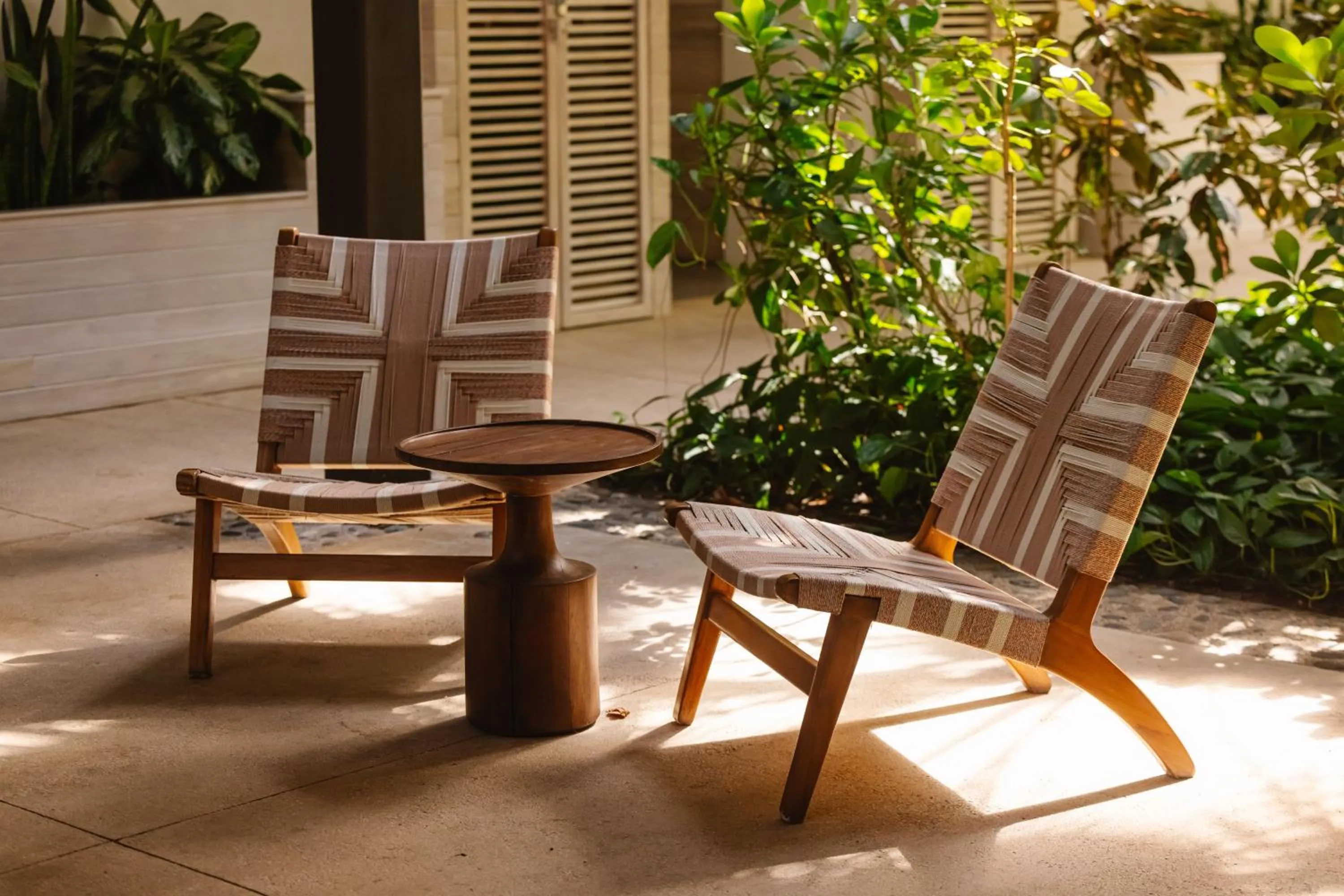 Day in The Gilded Iguana